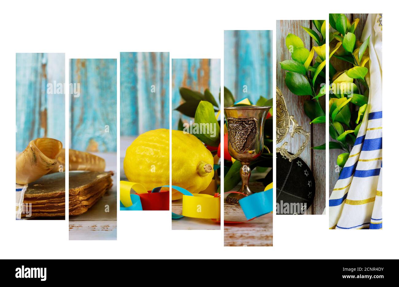 Rituale ebreo religioso simbolo festival di Sukkot nella etrog, Lulav kippah tallit Foto Stock