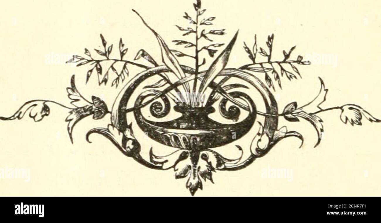 . Osate . ile era una calda, impulsivewoman, con un'avversione speciale ad essere dettatedto - due tipi di minerale di carattere che avrebbero ri-quire una grande quantità di fusione attraverso prove ardenti per produrre amalgamazioni. La vita era stata quella di osare un piacevole tratto di terreno erboso, pieno di fragranza di fioritura e di andradianza di canti di uccelli; una terra in cui il sole non si è mai attenuato. Pochissime erbacce ignoire adever si sono sviluppate nel suo percorso, e come lei fondava facilmente sradicato e gettato via. Il suo naturee era come un nuovo pascolo, forte ma non provato. La resa potrebbe essere, dopo l'aratura, non era nota. Foto Stock