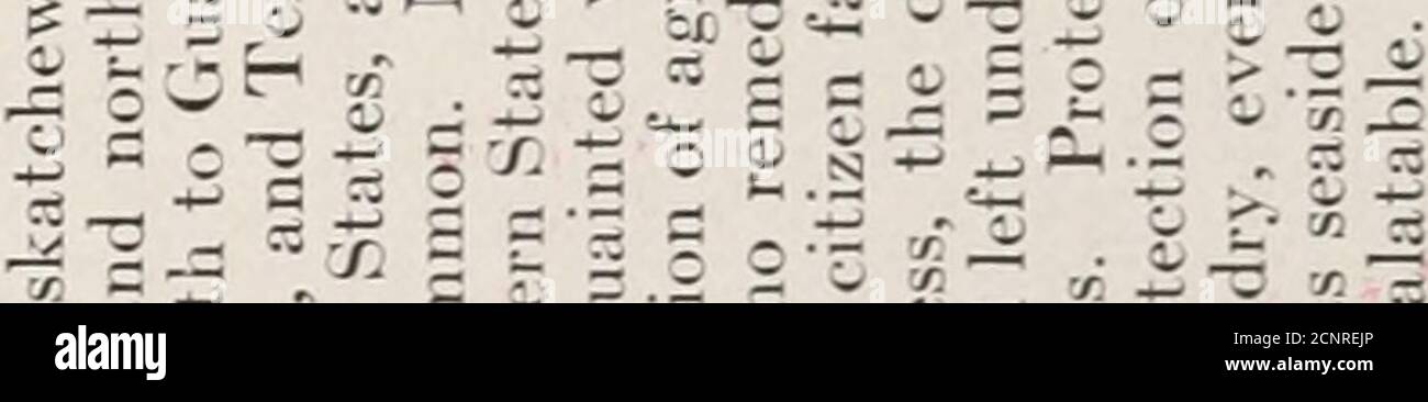 . Il libro degli uccelli; uccelli comuni di città e paese e uccelli di selvaggina americani . 3 3 rt -^3 J* S li o ti •-?  •- ^ ^ - to 3 .0 c&gt; ^-3 2o3-33j-,^-/:-C i ^ {:.S :1:: t ■ r^ •! 2 ^ o y&lt; ■. O 3 -5 35. § 5 £ = =5^ « £^ ^-3 ^ sZf-er^ ° = =iiw g &gt;.J s &gt;-- a 5 a è -^ ^ ^ CB o ^ ---3 ^ 5-3.3 2  -.! 3 72 a *3^^0:!5 ^^K - ■■■ 0^^*33 - -2 -3rrfeiJ7 r=--5 cn-^ ^- r; i S 3i^3^^^^a 35;w2t3x-3O ^ -a rt . .^J C -J •- s ,C X 3 - ,, •^ - - 1 rt 0-3 6C - ^ ^ 3 .a .3^ 3 ?^ Q ■ - o a 3 z; s 5 a.3 -3«« -  £t.^0=23^^fc- M « y i ^ o 5 2 -e 3  S =&lt;- ^ ^^ 3 r- M 3 ? •- -s a--a i- T ^i.=*-o2o;:^.-si Foto Stock