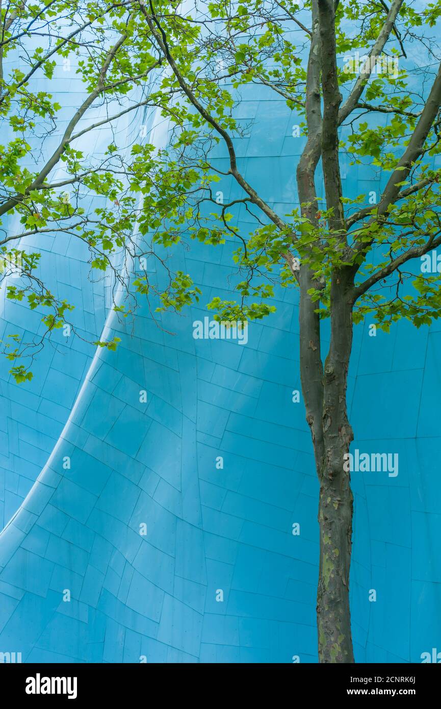 Un albero di fronte all'architettura metallica del Museum of Pop Culture (progettato da Frank O. Gehry) al Seattle Center di Seattle, Washington state Foto Stock