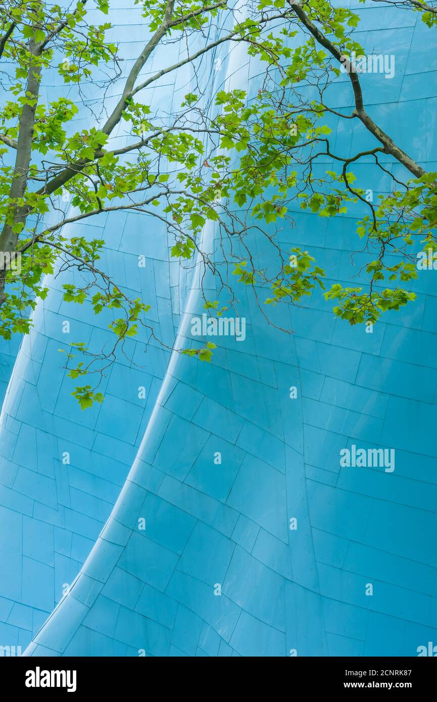 Un albero di fronte all'architettura metallica del Museum of Pop Culture (progettato da Frank O. Gehry) al Seattle Center di Seattle, Washington state Foto Stock