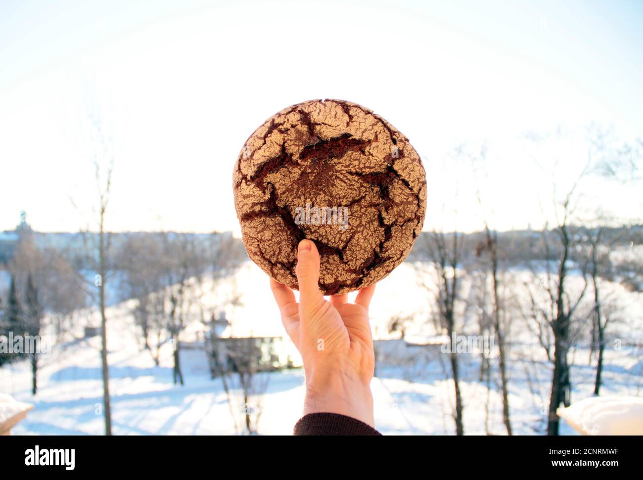 Pane di segale in Finlandia Foto Stock
