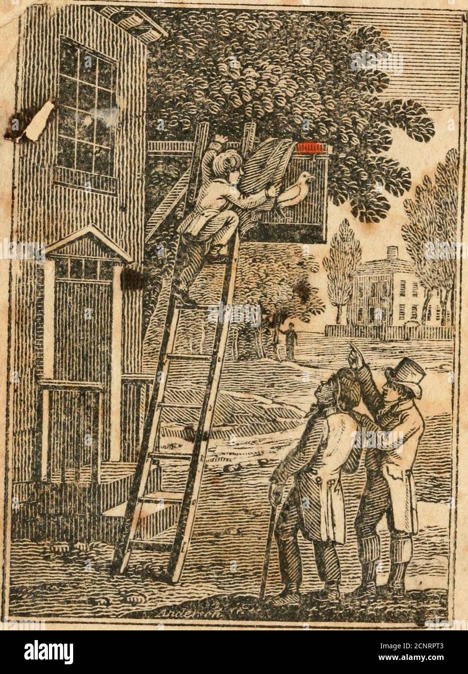 . L'assistente del genitore; o, Storie per i bambini .. . *. L'ASSISTENTE GENITORI;. O, STORIE PER BAMBINI, IN VOLUMI 9WO. DI MARIA EDGEWORTH, * autore di formazione pratica, e lettere per Ladie letterarie* VOLUME I. NEW.YQRK? PUBBLICATO DA E. DUYCKITFCK, NO. 68 WATER-STREET, ^?. Lungo, stampante. PREFAZIONE DI 97135 •, RIVOLTA AI GENITORI. Ml che hanno meditato sull'arte di governare l'umanità è stato convinto che il destino degli imperi dipende dalla thecation della gioventù. Aristotele. Un MOTTO di Aristotele può sembrare pedantico, ma è stato scelto semplicemente per opporsi a tale alta aifhority al seguente asse Foto Stock