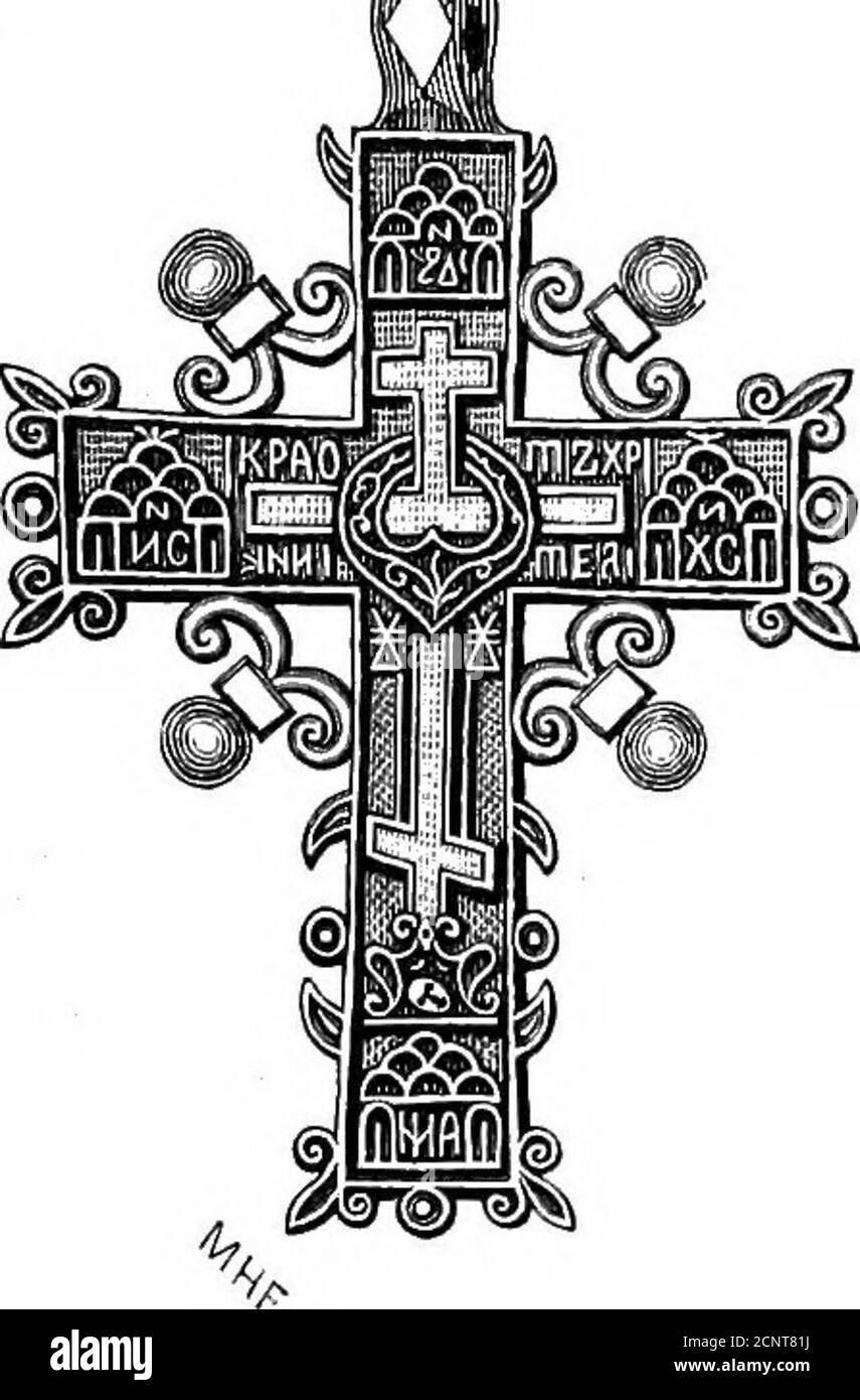 . Siberia in Europa: Una visita alla valle della Petchora, nel nord-est della Russia; con le descrizioni della storia naturale, migrazione di uccelli, ecc . visto, e noi shotfour maschi e due femmine. Nel villaggio abbiamo incontrato una palma, la prima che avevamo visto per molti giorni per le strade. La giornata dall'aspetto sfavorevole è stata una delle più modestissime che abbiamo mai avuto. * l'ostrica-catcher (^ffwinatopusostraleguSj Linn.) sembra essere confinato all'emisfero orientale, solo accidentalmente straying fino alla Groenlandia ;essendo rappresentato sul continente americano da una specie quasi alleata, Hcematopus pallia Foto Stock