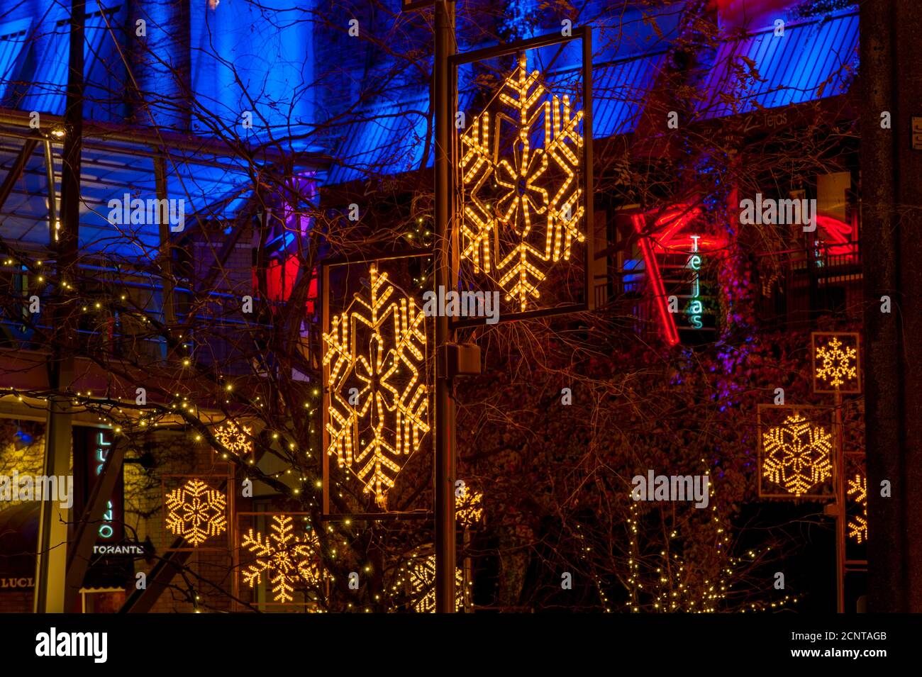 Foto notturna delle decorazioni natalizie di Snowflake Lane a Bellevue Square nel centro di Bellevue, Washington state, USA. Foto Stock