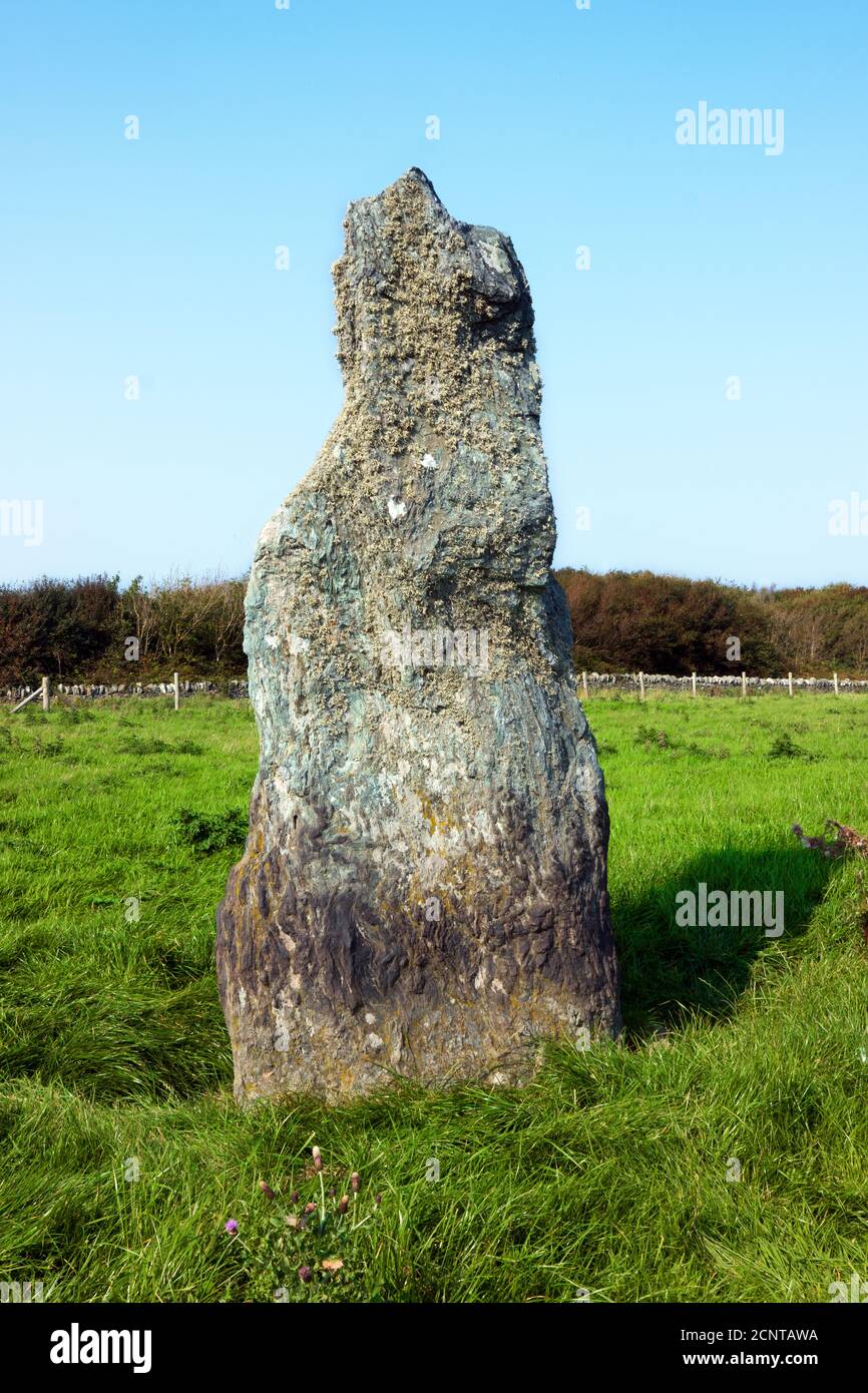 La pietra di Ty Mawr a forma strana su Holy Island, Anglesey, Galles del Nord, fu probabilmente eretta durante l'età del bronzo. Foto Stock