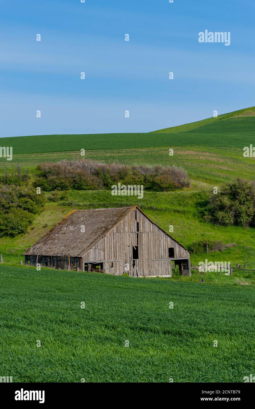 Vecchio fienile lungo Courtney Road nella zona di Dayton, nella parte orientale di Washington, Stati Uniti. Foto Stock