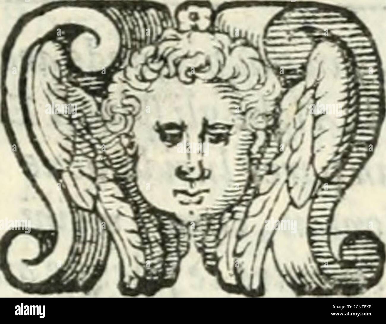 . Dell'impresa, trattato . foro .tre fondo, e par che ognvno il vólto mofìri Fuor datonde,gentil, dolce, e canoro,Partenope, Leucofia, e Jjgia fanno in Tibie, in Cetre, in Vocefccrno, e danna. T^me han di cantatrici, e per il nome ÌSlcn è chi ardifcaprouocarìe al canto .ma quando tHorion, che in India hci dome le figure dHimeneo, ne vuole il vanto,Terfcorso attuffangiù thumide chiome, E fan altiero il mar col mcsìo pianto »VII huom Farebe molte volte fcorno ^ chi per faììiahd troppo altiero il corno. Lho- LIBRO TERZO. 51 i?*)^fi^(3^;r^^ H ORIONE , come critico elitario, è Vc- 1 mÈ^ ^^^l« ri Foto Stock