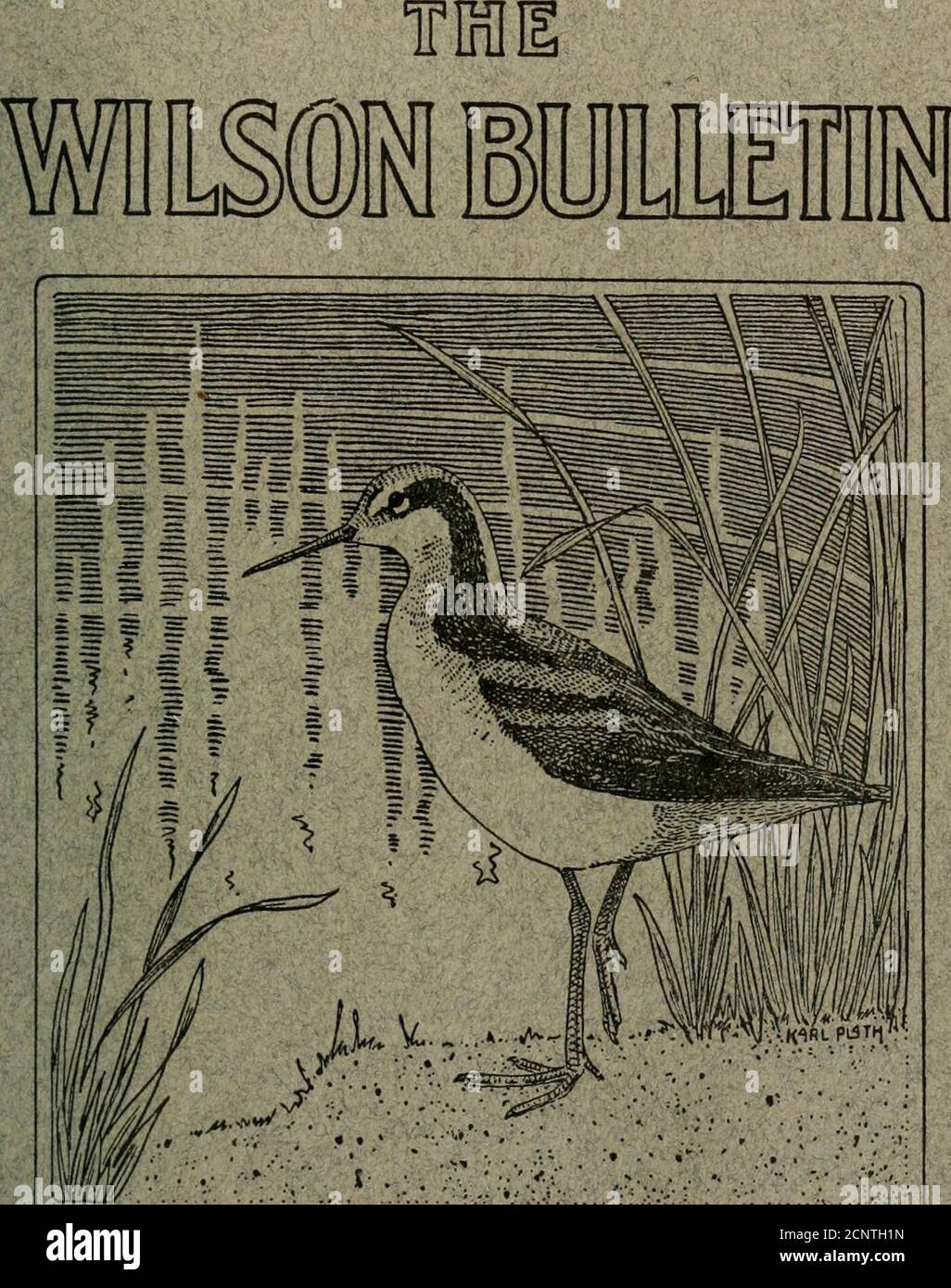 . Il bollettino di Wilson . Il Blue Bird 55 è ora pubblicato mensilmente, tutto l'anno, con nuovi reparti, caratteristiche e concorsi e SENZA COSTI AGGIUNTIVI PER GLI ABBONATI. Organo ufficiale della Cleveland Bird Lovers Association.SEND 20c PER IL CAMPIONE DI COPIA Annual Subscripton |2.00 Agents Wanted Everywhere THE BLUE BIRD1010 Euclid Ave., Cleveland, Ohio T)e Oologist Birds - Eggs - Nests - Taxidermy l'Oologist è l'unica rivista pubblicata in America de-voted per gli interessi di coloro che fanno collezioni di uccelli, theirNests e uova. Per trentasette anni è stato il riconoscimento Foto Stock