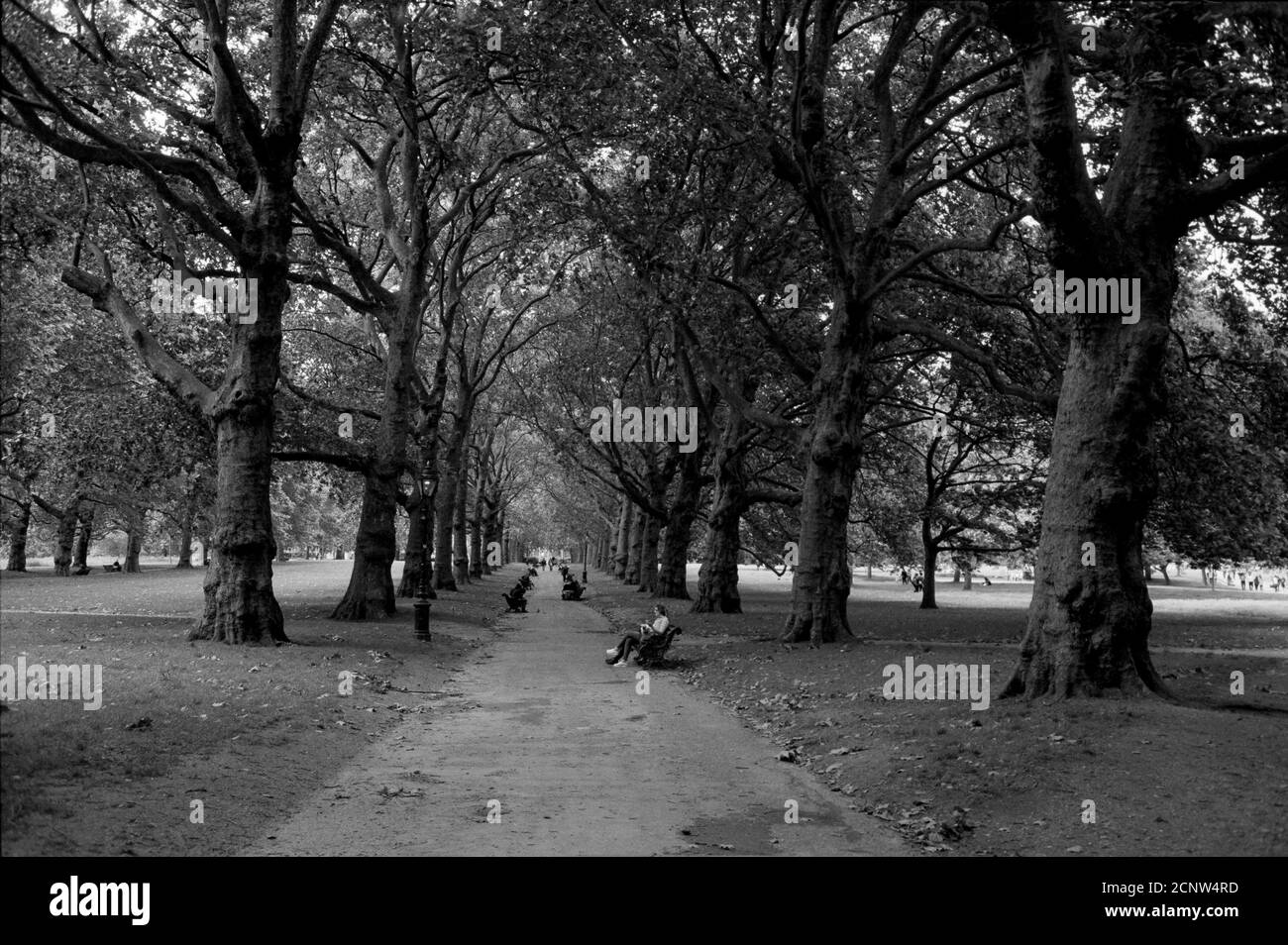 Green Park, Buckingham Palace, Westminster, Regno Unito, Inghilterra Foto Stock
