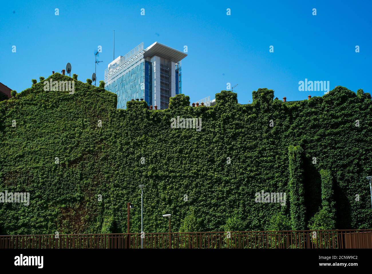 Milano, Lombardia, Italia, quartiere porta Nuova vicino al Bosco verticale, casa con piante, architetto Stefano Böri Foto Stock