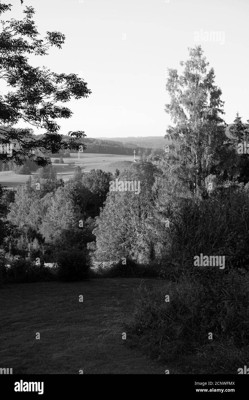 Immagine verticale in scala di grigi di alberi lungo un fiume Foto Stock