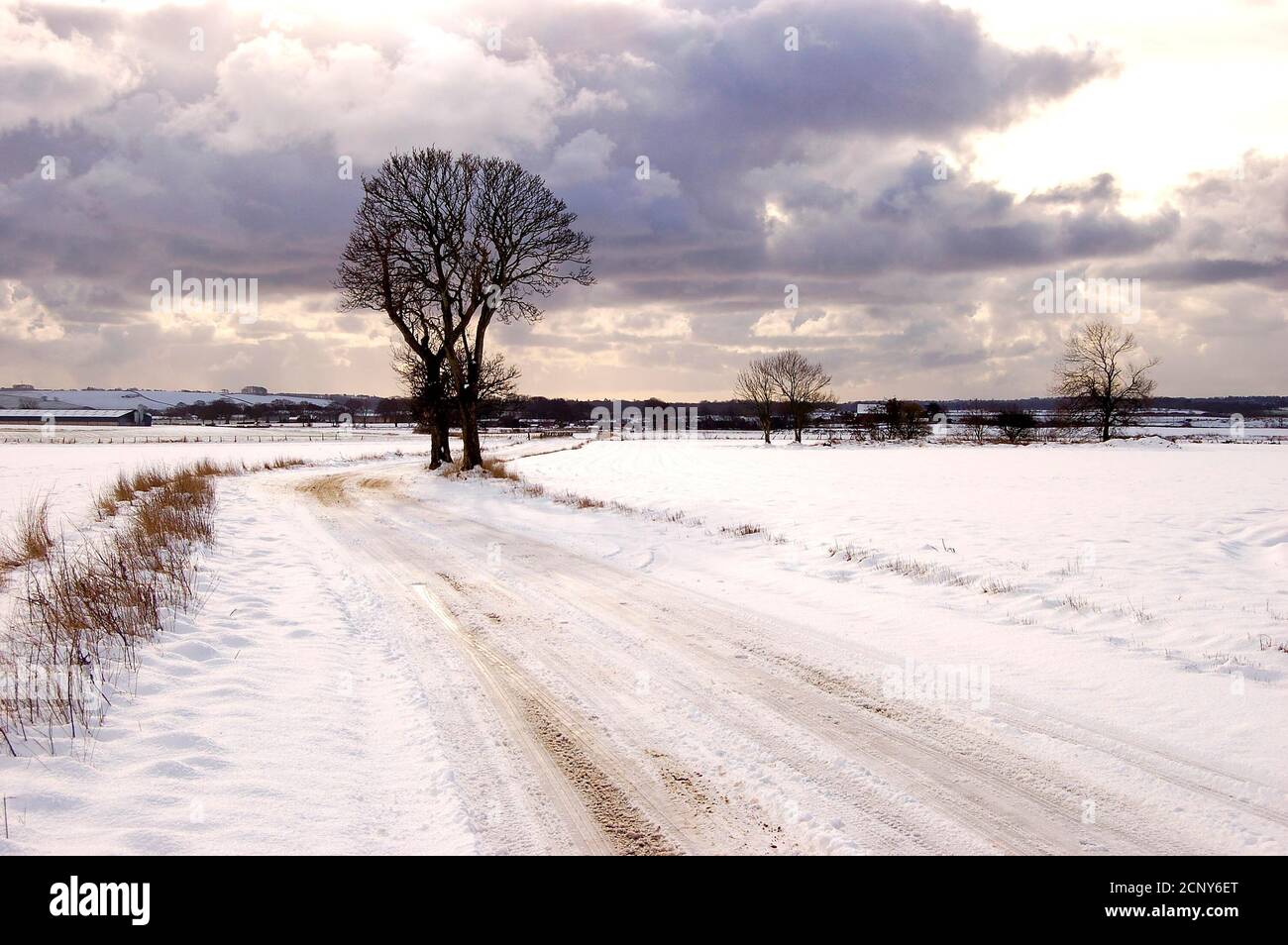 Paesaggio invernale Foto Stock