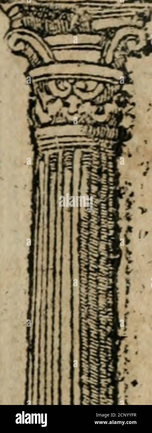 . Emblemata Andreae Alciati ... . Bellorain ccc^i^e fvrunt monumenta uicij^m Scutiftrum AiacemyHe^or^ue lliacum.Balthed Vriamidcs^xigidum Telamoniui cnfcm, in^umcnta fu£ coepit uterquc necis.Enfu enlm Aiaccm Concerta.it.it.it.it.it.it.it.it.it.it.it.it.it.it.it.it.it.it.it.it.it.it.it.it.it.it.it.it.it.it.it.it.it.it.it.it.it.it.it.it.it.it.it.it.it.it.it.it.it.£ Foto Stock