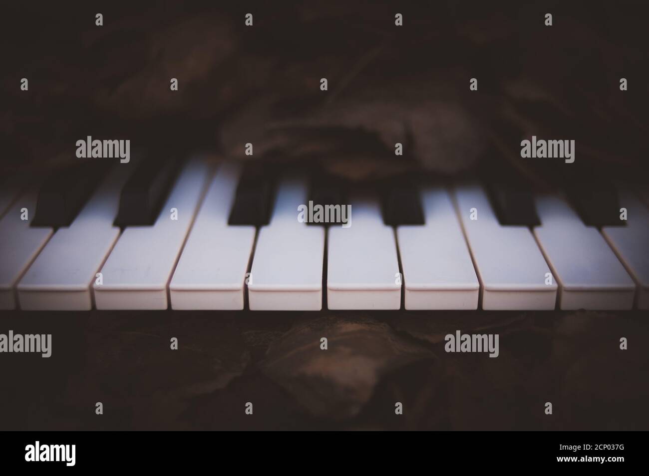 Primo piano di foglie secche di autunno sui tasti del pianoforte Foto stock  - Alamy