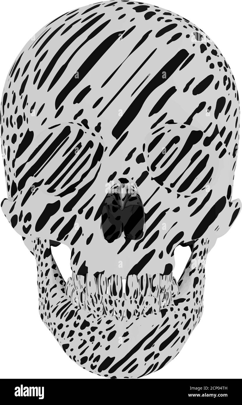 cranio macchiato bianco e nero isolato su sfondo bianco, vettore Illustrazione Vettoriale