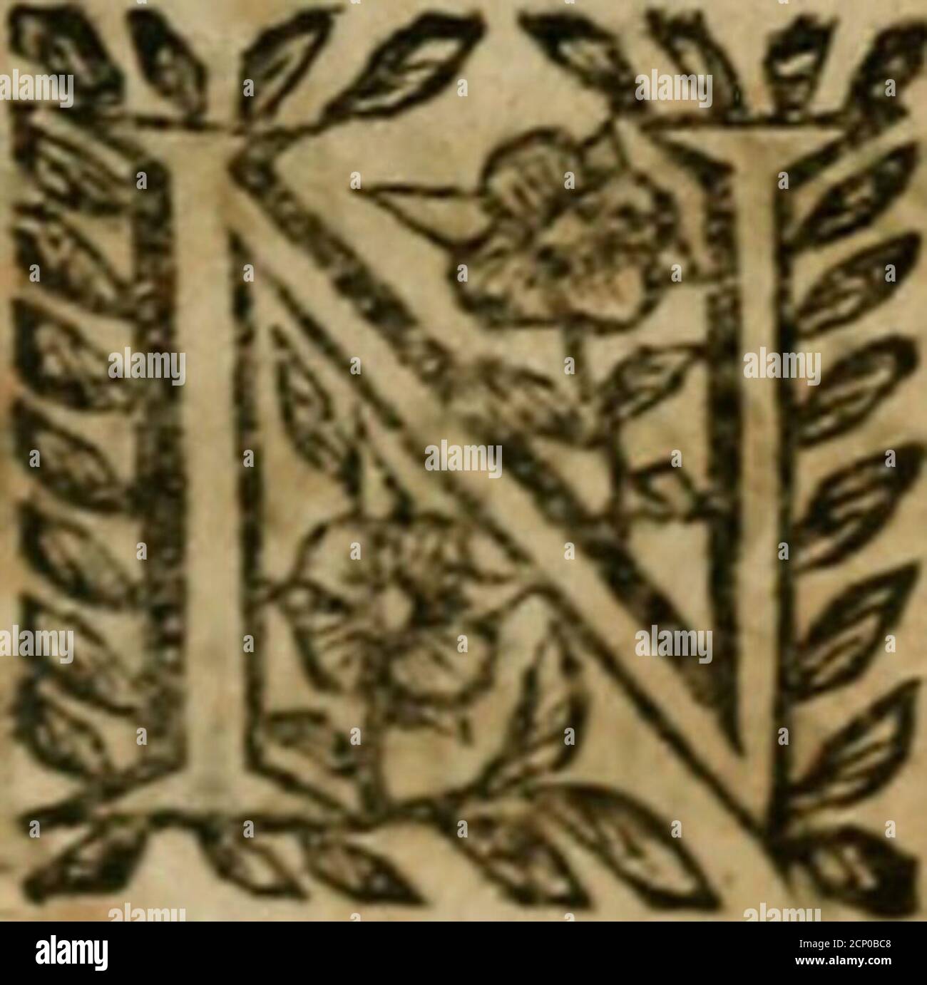 . Govierno generale, morale, politico. : Hallado en las aves mas generosas, y nobili. Sacado de sus naturales virtudes, y propriedades. Con qvaro tablas diferentes; es la vna para sermones varios de tiempo, y de Santos. . &lt;JAL GLORIOSO PATR1ARCHA SAN JQSEPH,Efüofo de U Virgen Madre de Dios y y PadrePutativo de nueftro RedentorJefu-Cbrijto.. O pudiera eíle Libro (Patriarca Santo)acreditarfe mejor , que poniendo enfu primera hójavueftro efclarecidonombre ; pues ííendo fu aHumptolaspropiedades de las mas efclarecidas aves, aplica-das á los vicios, para refrenarlos, y á virtudesaument Foto Stock