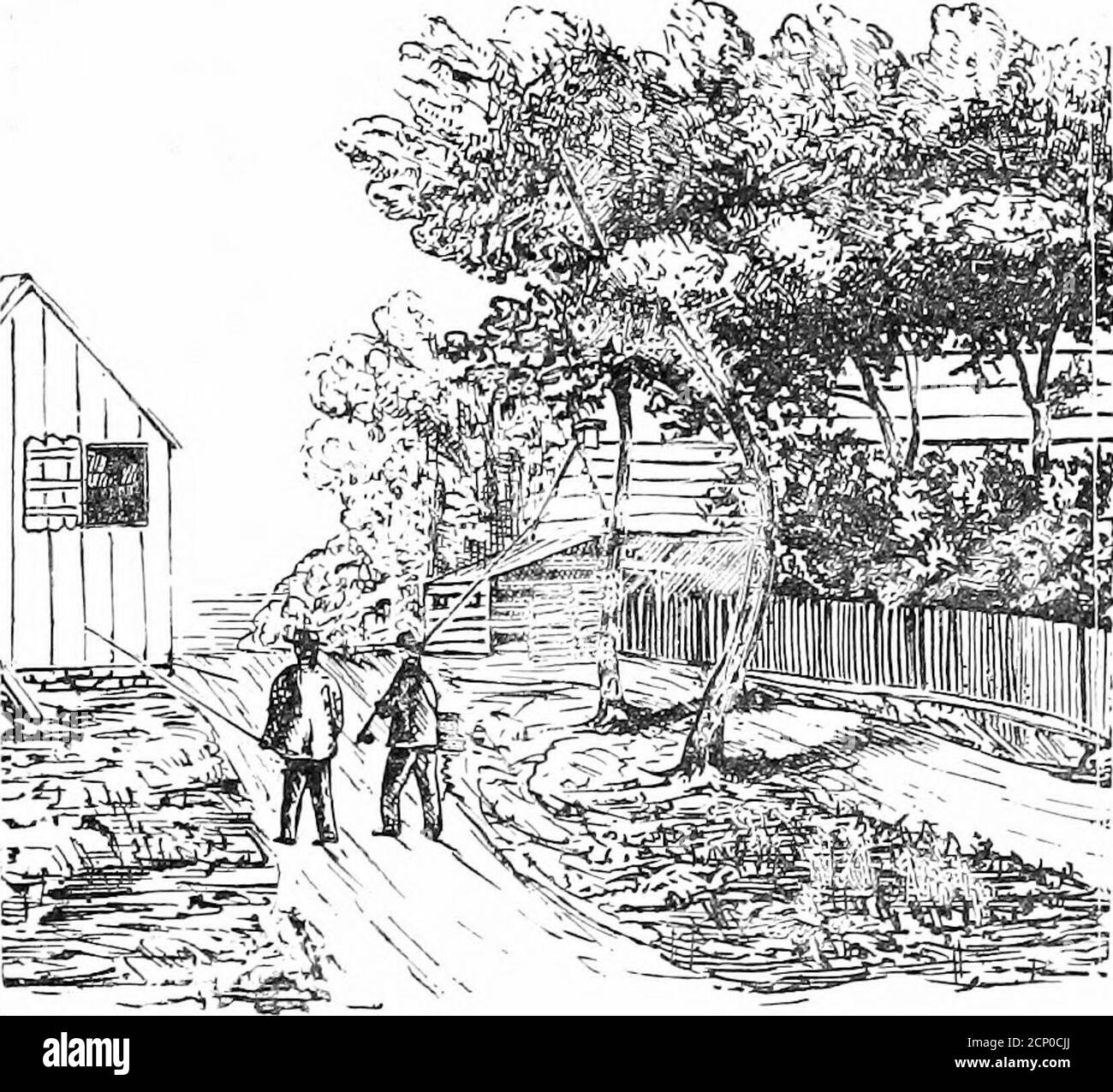 . Pesca superiore; o, il basso a strisce, trote, branzino nero e pesce blu degli stati del nord. Abbracciando le direzioni complete per vestirsi le mosche artificiali con le piume degli uccelli americani; e conto di una visita sportiva al Lago superiore, ecc . e può killin un solo giorno un mille peso di pesce. L'aria fresca darà un tono tale al suo sistema e theexercise tale forza ai suoi muscoli, e l'ex-citement tale vigore ai suoi nervi, che egli hardlycredent se stesso rilassato, disprezzato, elenco-less individuo che ha lasciato la città una settimana ptevious. Le località più famose per Foto Stock