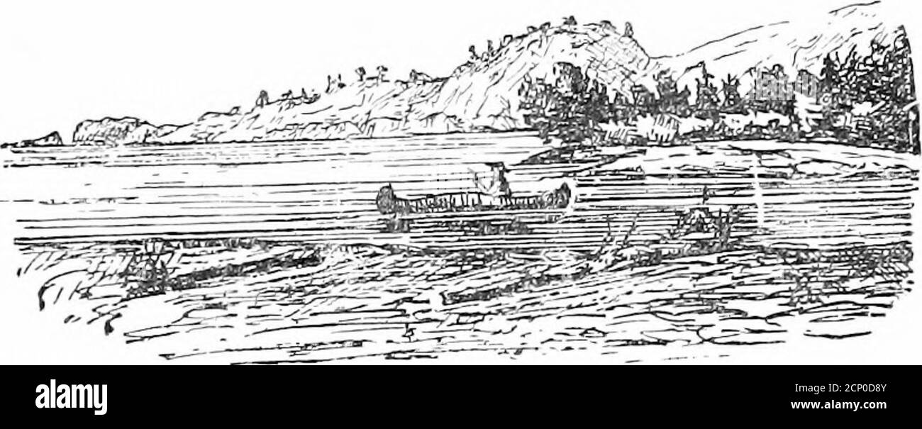 . Pesca superiore; o, il basso a strisce, trote, branzino nero e pesce blu degli stati del nord. Abbracciando le direzioni complete per vestirsi le mosche artificiali con le piume degli uccelli americani; e conto di una visita sportiva al Lago superiore, ecc . 9 era buono, ne prese un intero in bocca e se ne scesero con sé. Era più grande della testa di Lis, andguardò abbastanza droll nella sua bocca, teso fino all'estremo; Non era andato lontano prima che il suo dentello affilato attraverso e togliendo un pezzo, lasci il resto cadere.non prendendo la difficoltà a prenderlo in su, si riturnedwith un altro piccolo grido al piatto, e questo ti Foto Stock