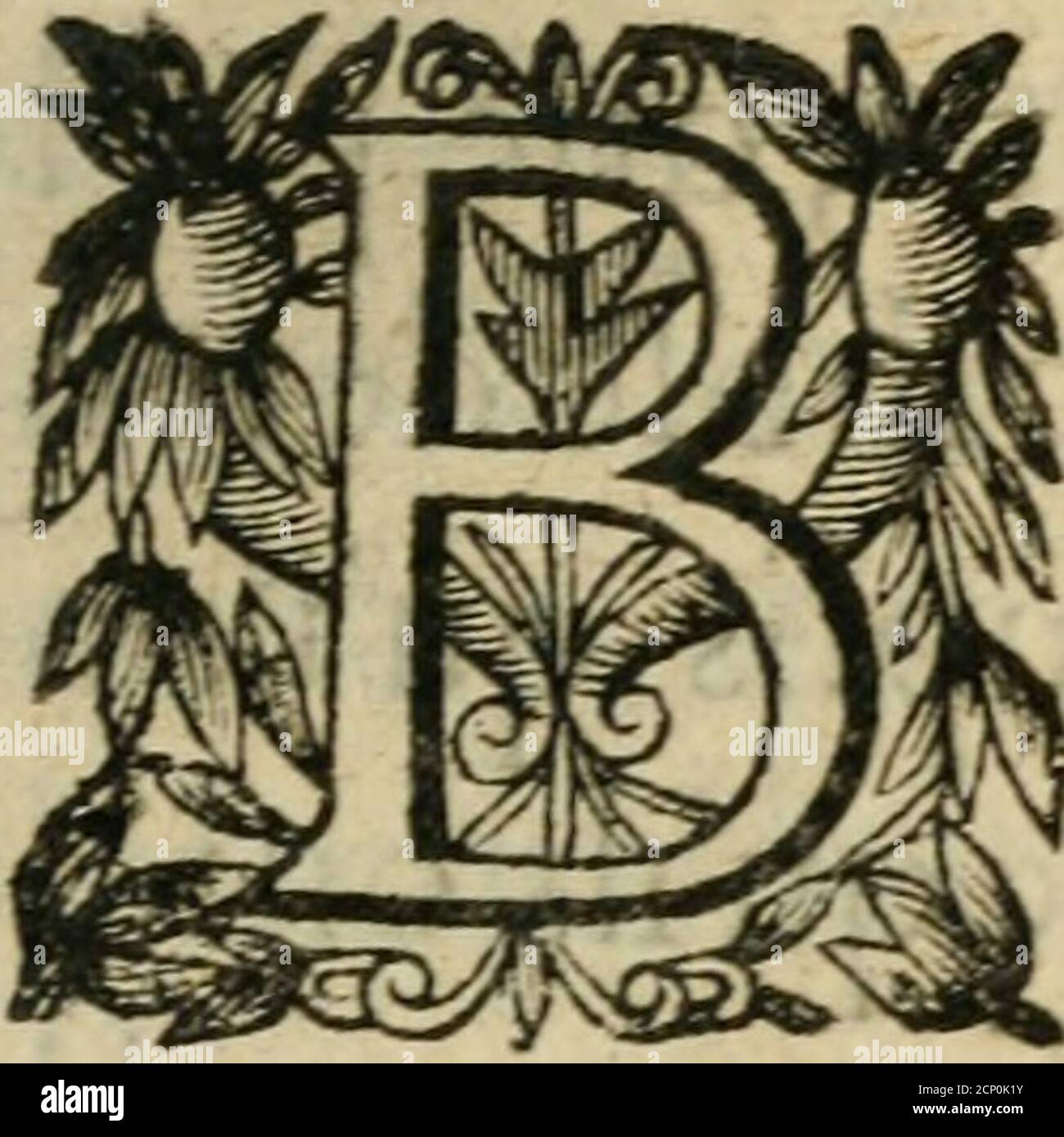 . Recueil d'emblemes diuers : auec des discours moraux, philosophiques, et politiques, tirez de diuers auteurs, anciens & modernes . iS9 De la force de LART, en la nourrit u-reduT ragion. DISCO VRS XXXV. En que les Plus grandshommes demeurent dac-cord,que la Nature eft mer-ueilleufe en la procréationdes Animaux & des Plan-tes-, fi eft-ce qu il faut quils maduouent,quil eft demonftré par des examples &:par des raifons Fort maniftes. Que filArt ne change pas tout à fait la Nature,il eft capable à tout le moins d*cn corri-ger fouuent les défauts. En etfet , nevoyons nous pas les Lions, les Pant Foto Stock