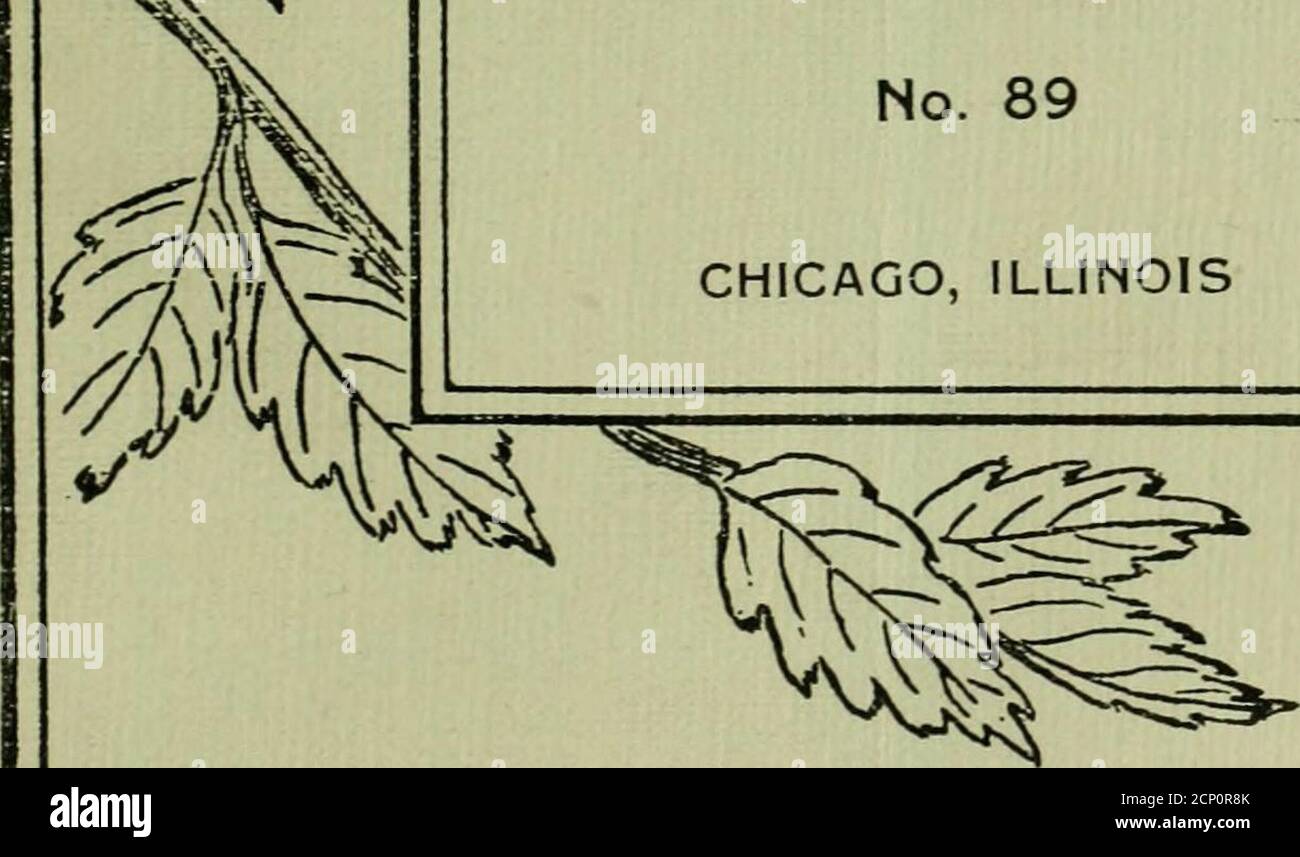 . Il bollettino di Wilson . Vol.XXVI. DICEMBRE, 1914, No. 4 IL Bollettino Wilson No. 89 CHICAGO, ILLINOIS. WILSON ORNITHOLOGICAL CLUB CONTENUTI frontespizio Note su un Northern Robin Roost . Arthur R. Abel 165 gli uccelli della regione del lago Douglas . James S. Compton 173 uno studio di Hermit Thrush . Stanwood 180Nest la vita del verdello nero Cordelia J. Stanwood 186 cibo di uccelli nidling .... Alvin R. Cahn 189 volo di Shore-Birds vicino a Youngstown . John P. Young 193 correzioni a A. O. LT. Elenco di controllo . W. F. Henninger 195 migrazione a Oberlin, Ohio .... Lynds Jones 198 Discou Foto Stock