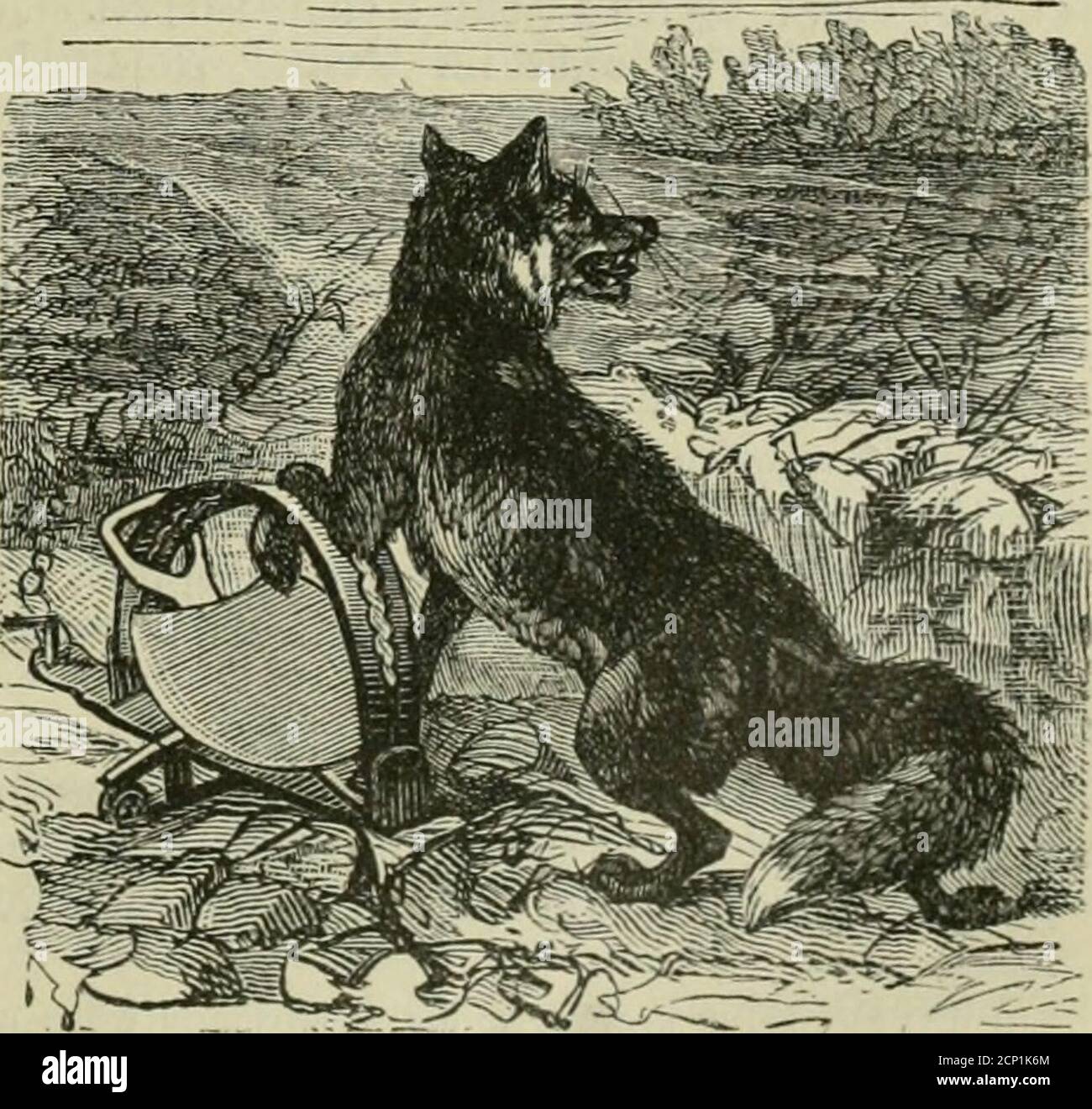 . Allgemeine Encyklopädie der gesammten Forst- und Jagdwissenschaften. Unter Mitwirkung der bedeutendsten Fachautoritäten . gig. 37]. Seüereifen. Be§ bieSfäßigen SSerfo^RENs fetteng ber (Sr*Seuger ben ^eftellungen beigegeben Wirb nnbber fpecieEen (Sonftruction unb it)ren mannig=fachen Slbänberungen angepajst ift ift ift ift ift ift ift.) ®er gang niit bem Xelleretfcn. anbereä sinereber (S§ seiber 33ügel seiber, üerfefien seiber,§ seifenfeber,   s,   s, sitebefebefebet,  , s, sitem, sitem, sitem, sit (gtg. 371 unb 372). ®ie 58ügel finb i)aIbfretSför Foto Stock