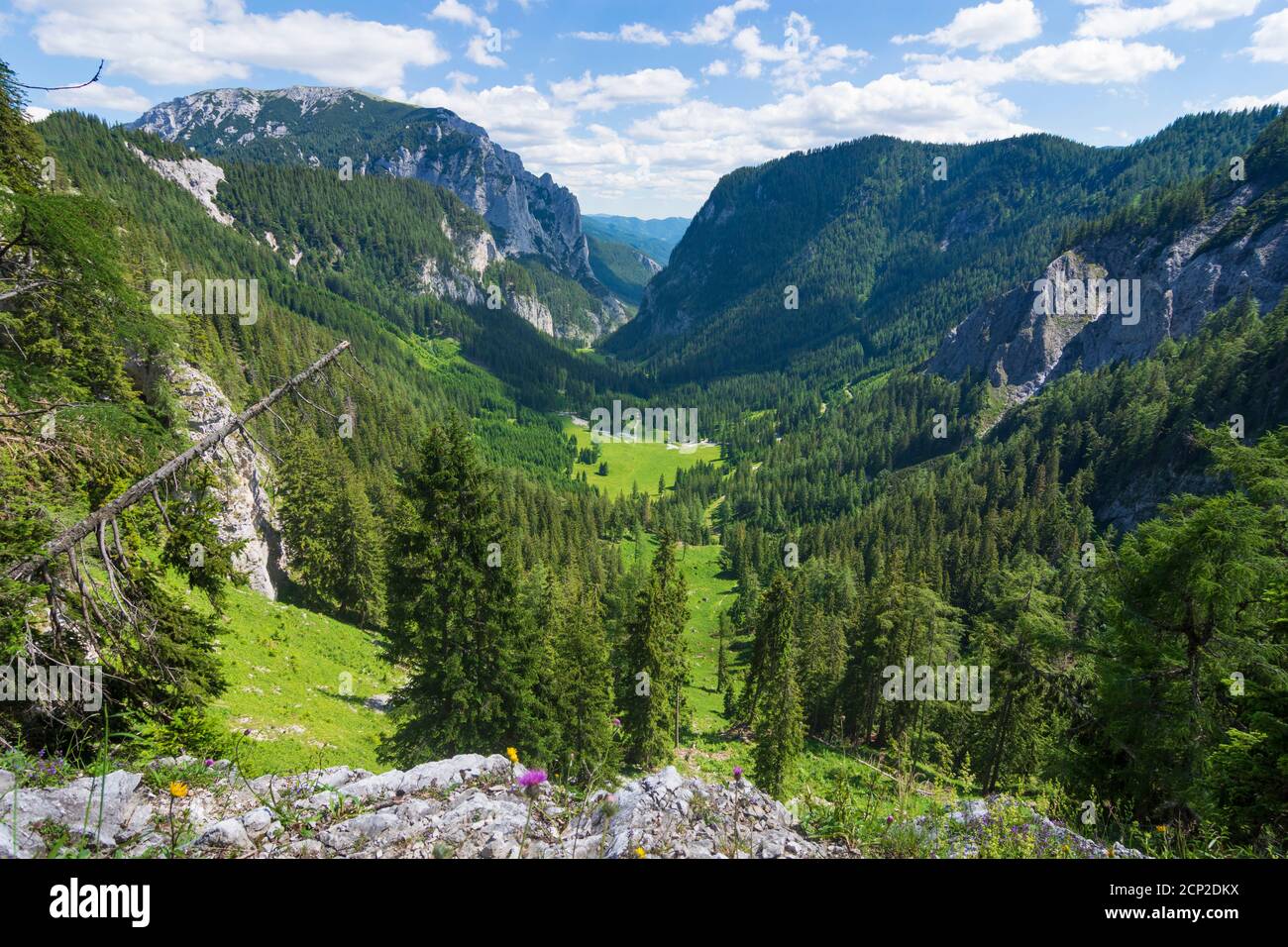 Monti Hochschwab, valle Klamm a Tragöß in Hochsteiermark, Steiermark / Stiria, Austria Foto Stock