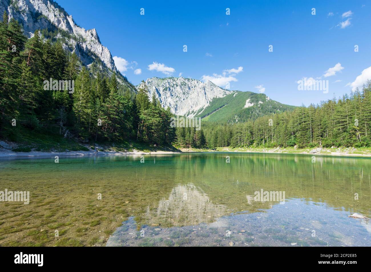 Monti Hochschwab, Grüner See (Lago Verde) a Hochsteiermark, Steiermark / Stiria, Austria Foto Stock