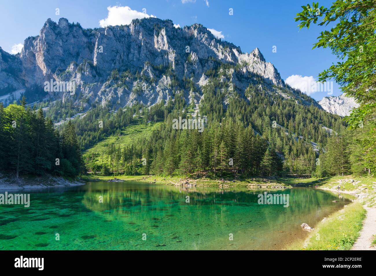 Monti Hochschwab, Grüner See (Lago Verde), montagna Meßnerin in Hochsteiermark, Steiermark / Stiria, Austria Foto Stock