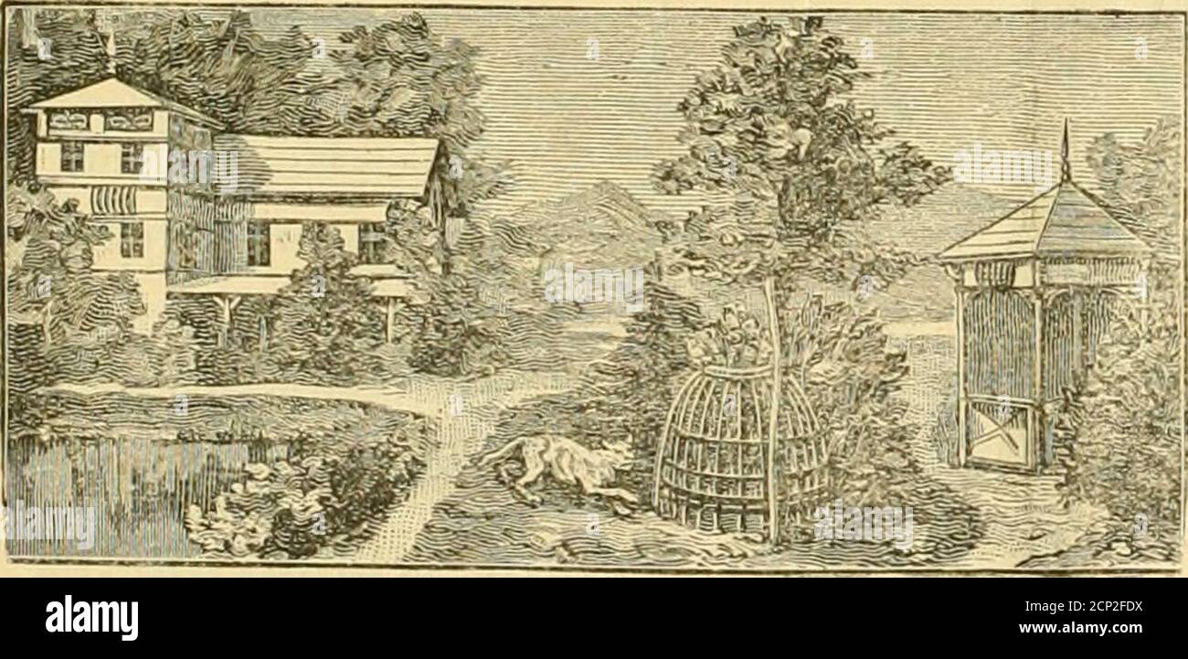. OIT empfotjleii), roie atte übrigen a.aag, 14a 5[)ennen= | iiin. CLIR. Liassen, Sopcnlinacit, ^anferplabä 9. Ineg 14a. 1 „ William Cross, SiOcrpOOl, 18 Earle Street. „ J. Tan den Eynde, Antwerpen, 8 pleine „ Jaqiies ditt, ^ariö, 12 Rue du Plätre.falcon 8.. {622] =S 9^r. 15. S)te gefiebette Seit, äeitfd^Tift für SBogeHiefil^aber, =3ü(3^tcr unb »^änbler. 175 FockelmanDp ^oolootfile ^rollianblung, Mainburg:, ^leucimaQ 96, cmpfiel)lt in tabellofcn, gefiinben (vitmptaicii: i)iUiotl)t, i)uiifclrot()c unb blaue xlrara, rothrüctige 3clotem, av3-bis, avg-bone Foto Stock