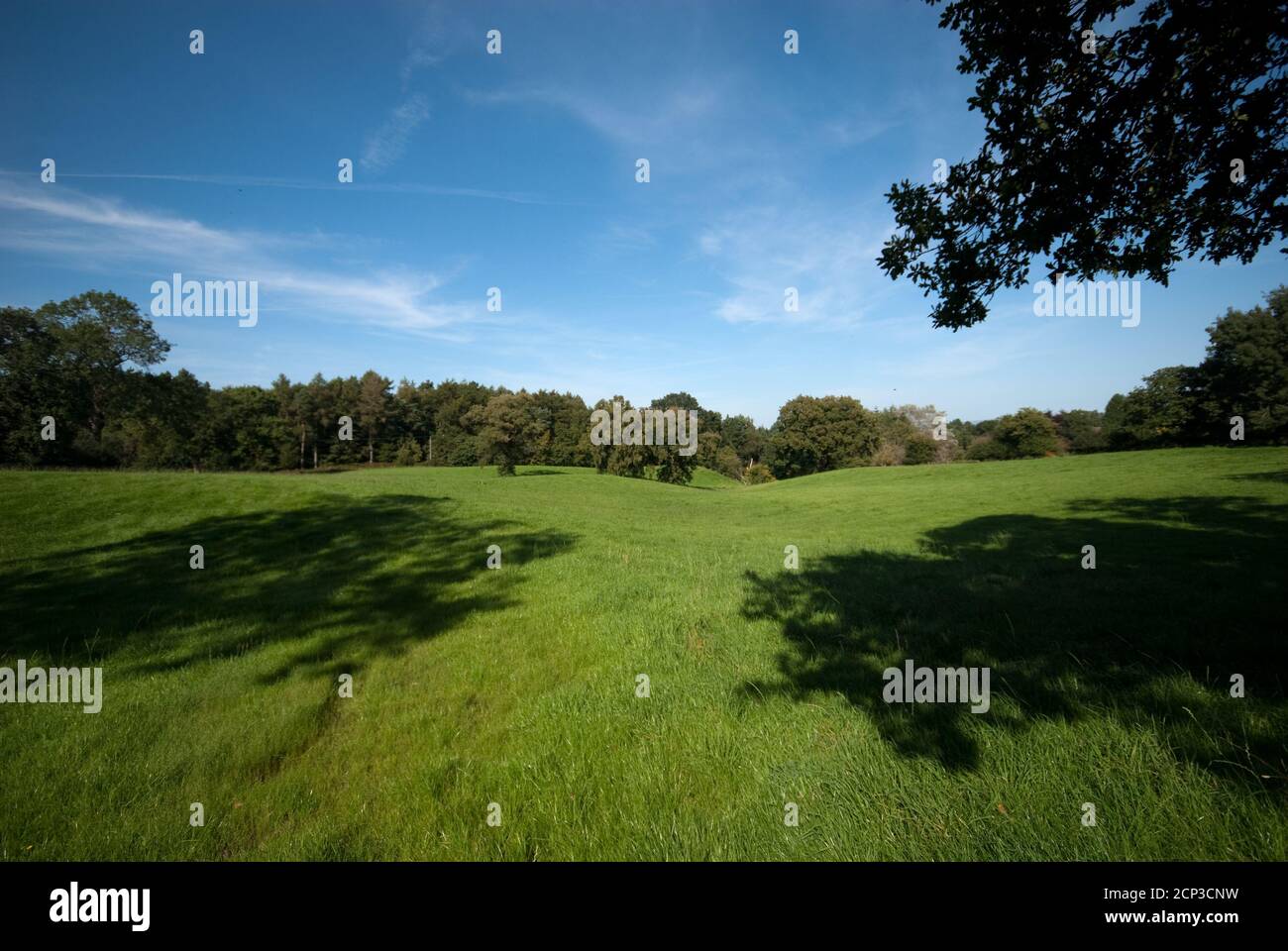 Prestbury Farmland adiacente a Chelford Road Foto Stock