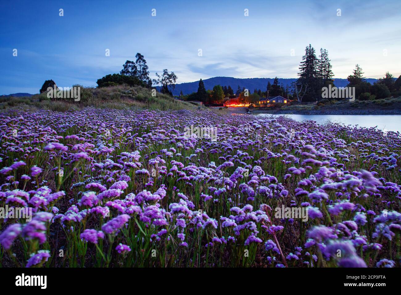 Tramonto a Camden Percolation Lake, Los Gatos, California Foto Stock