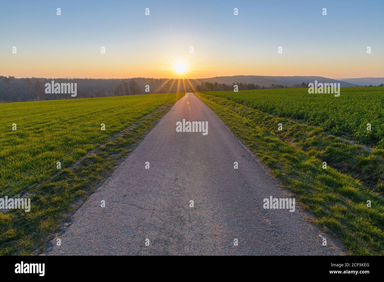 Strada sterrata, alba, primavera, Vielbrunn, Michelstadt, Odenwald, Assia, Germania Foto Stock