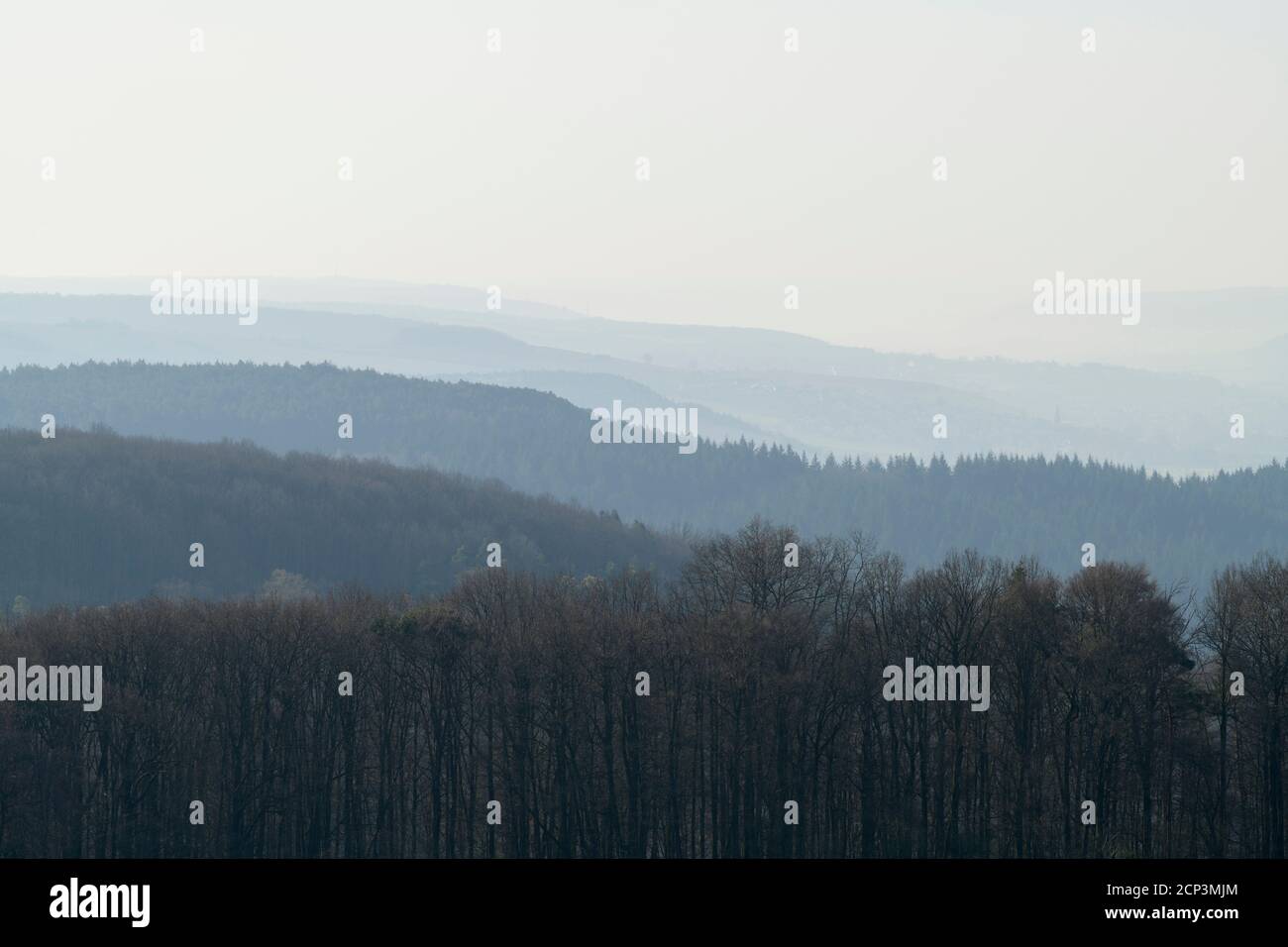 Linee d'orizzonte, foresta, Taubertal, nebbia, mattina, primavera, Höhefeld, Wertheim, distretto di Main-Tauber, Baden-Württemberg Foto Stock
