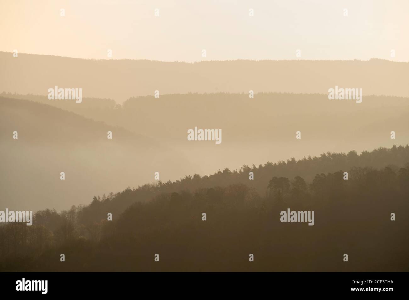 Linee d'orizzonte, foresta, valle principale, nebbia, mattina, primavera, Seckmauern, Odenwald, Assia, Germania Foto Stock