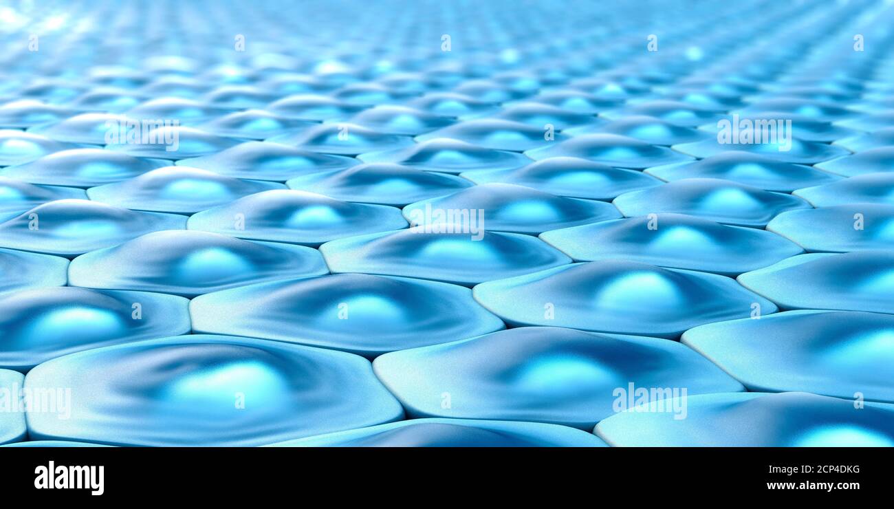 Vista laterale di un modello cellulare di cellule esagonali con nuclei, illustrazione. Foto Stock