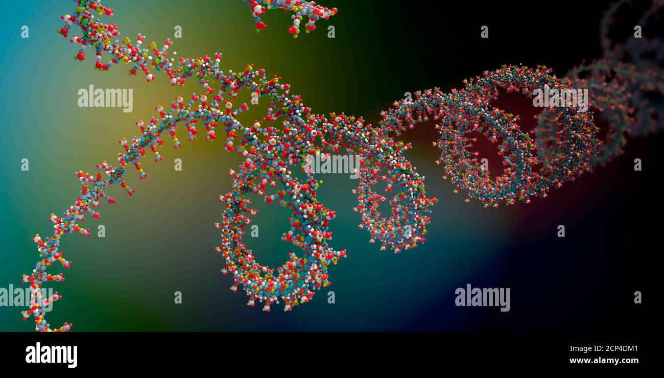Catena di acido ribonucleico (RNA), illustrazione 3d. Foto Stock