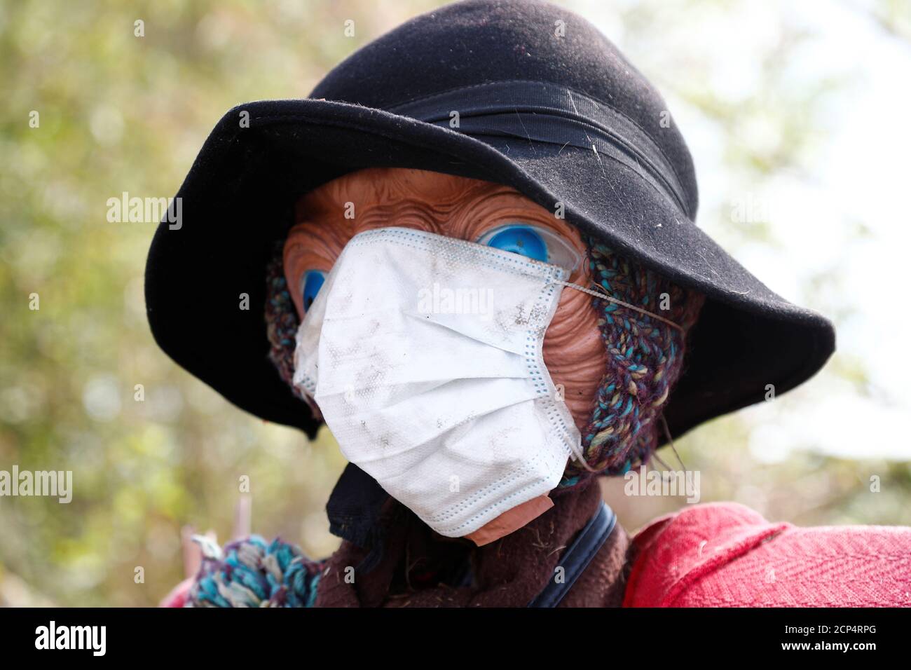 Uno scarrecrow che indossa una maschera protettiva è visto in un orto comunitario durante l'epidemia di coronavirus (COVID-19) a Bruxelles, Belgio, 12 aprile 2020. REUTERS/Francois Lenoir Foto Stock