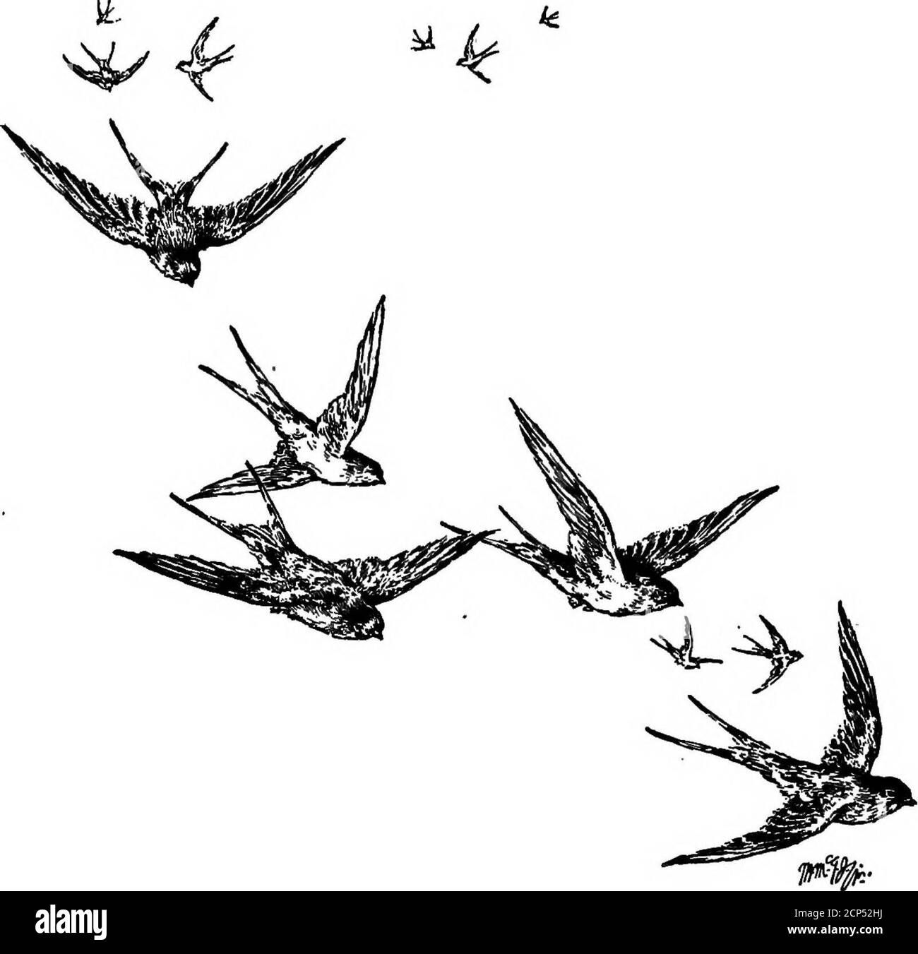 . Il libro di Swallow; la storia della deglutia raccontata in leggende, favole, canti popolari, proverbi, omene e indovinelli di molte terre . di un cuore, Che chiamano il Martzisor.da un lato è incisa marzo i, esull'altro sono raffigurati androses swallow, simboli del ritorno di primavera.intorno alle inghiottite raffigurate sono le parole che le fanciulle ungheresi dicono quando theyspy la prima inghiottita in primavera: Vedo asvalow! Ora mi lavo i miei fleckles ! Thischarm è fatto di ottone, argento, o oro, r IN MEDICINA * 149 secondo la ricchezza del proprietario. Allthrough il mese di marzo lo indossano; poi si ta Foto Stock