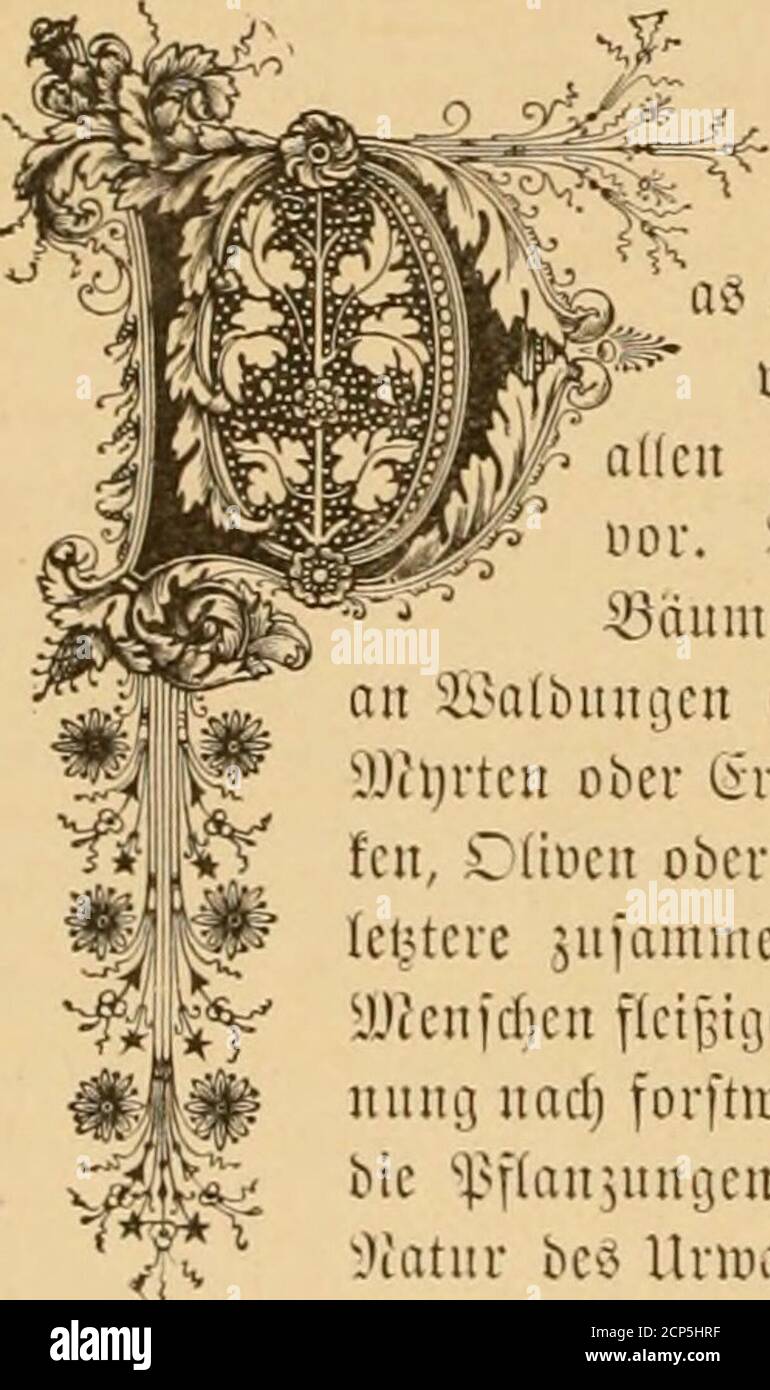 . Die Nordamerikanische Vogelwelt . ur .^eimat. öcfil^ ÖH^l wcld)e mit einem fpärlid)en iCmdii niebrigcr Stränd)er bewacl)feu fiub, bilbcu bagegen feinen Vicbliugi^aufeut()alt. ^en^ fbaw, bcr bie ani?fül)rlid)fte VcbeniJbcfd)rcibung biefer 91rt geliefert l)at, lott ben (ikfang in folgeubcr SiHife: ,,rcrfclbc gebort ju bcu fd)(inftcu bcr ganzen 5^niilic- iMelleic^t fauu man ibu mit bcu feinften Jonen Be>s (finficbleroirco ucrglcid)cn, ub 511 bcr 3d)öuf^bbc ogclö bunfit bit«bc bit bit s bit bit s bit bit bit s bit bit s bit bit s bit s bit bit bit s bit bit bit s bit s bit s bit bit bit s bit s bit s bit bit bit bit bit s Stnöbrncfeä (SJelbbrnftoirco (i^cf Foto Stock
