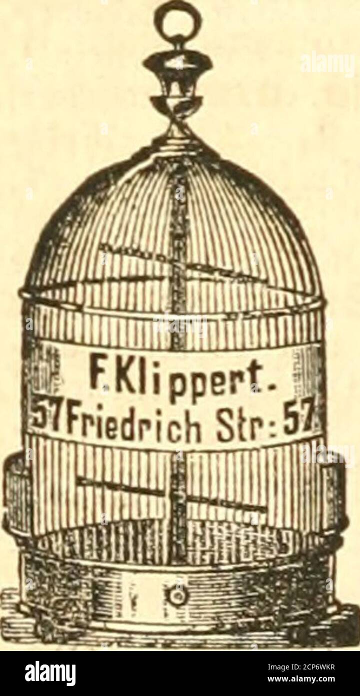 . Die Gefiederte Welt . Qnkrcn Xljicrcii, [2263] 191. 193 St. Georges Street, East, Loiulon. tat tcrrätfiig: 2 ^ar fdjwarjfötfige (isitticbe (Psittacus nanday), 6 ^ar ^uirittidje (P. tui), 5 ^ar ©elbfiügelflttiie(P. xanthopterus), 8 Ijellrotfee 9Irara5 (P. macao), 3 blaue egraitus (P.), 25 20 ©, (^2) ©fringmäufe. ^lu^erbem finb nod? Iorbanben:®ingfttttid)e (P. ematonotus), DJümfen (P. Sotiae), Sori von ben Blauen Sergen (P. Swainsoni), SlaUfal3l3cnf»tti(te (F. ematogaster) u. F. t». Foto Stock