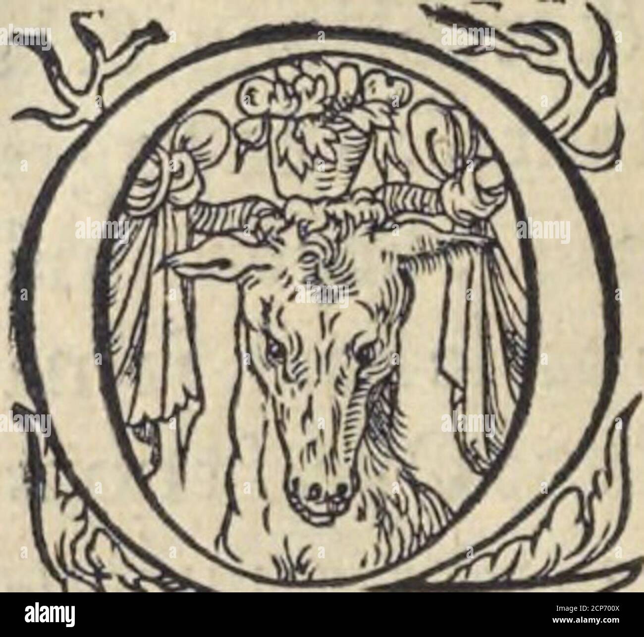 . L'histoire de la natvre des oyseavx : avec levrs descriptions, & naïfs portraicts retirez du natvrel, escrite en sept livres . Les anciens le nommèrent ainfi, paource que lorsquelle noumtfes petits, elle vfcdefin^ederegnardenlesfaiantefchaperXfc^ gnifiantOyeregnard.CarquandquelquV coursfa,fantasblantdefevouloirlail?er prendre: Rvnctre la foumme. CE pendant fes petits efchappent: Alors elle prédfonvo l&fcfiluc. Onla nourrit es cours des gWnds feigneurs feulem n tpatquoyneftencorguerecmuneparlesvdleS,&viJlagesdeFrance P i6b LIVRE III. DELA NATVRE Des Canards 8c Foto Stock