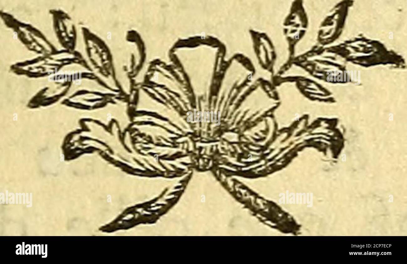 . Histoire naturelle des oiseaux . LE PAOK du Paon. 5 3 Voya îe Pae Paul III au Roi Pépin (q).Selon Aldrovande, les œufs de paonfont nonfont noncourtous les Modernescomme une mauvaife nourriture , tandisque les Anciens les mettaient au pre-mier rang, & avant ceux doie & depoule commune (r) : ii expique cettecontradiction, en difant quils font bonsau goût & mauvais à la fantasé (f) ;relie à examiner fi la température duclimat nauroit pas encore ici quelqueinfluence. (q) Généalogie de Montmorency, pag. 29,(r) Athénée , Deipiwfoph. ïib.-II, tappo. XVIJ.(f) Aïdrovande, avi, tom. II ^ pag. 29.. Cirj j4 Foto Stock