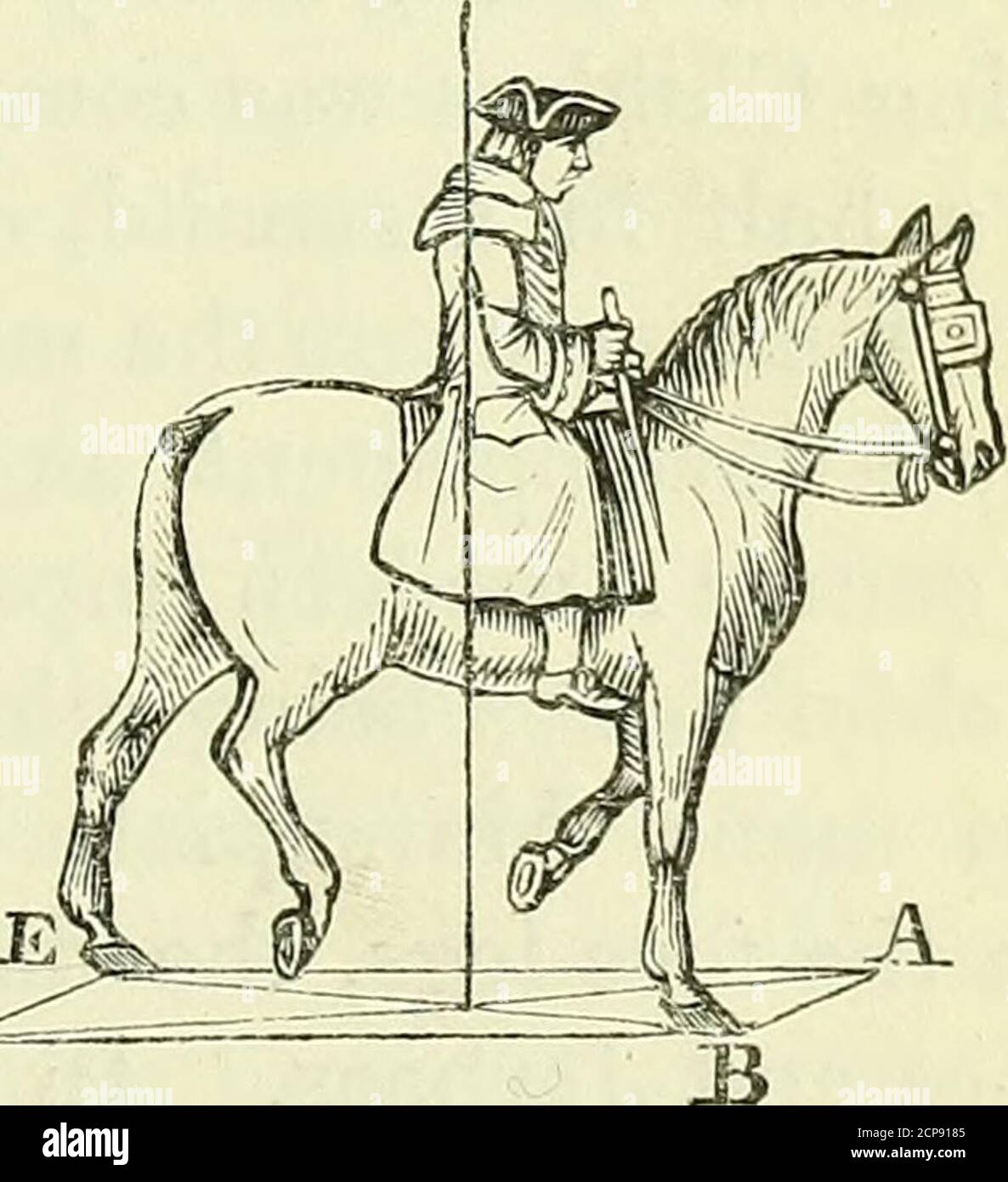 . Sull'anatomia dei vertebrati [risorsa elettronica] . contemporaneamente attraverso la maggior parte della fase, ma su stretta ispezione l'hind-legis visto per primo essere sollevato dal suolo, E dopo un brevissimo intervallo la gamba anteriore dello stesso lato.1 in questo modo di camminare il tronco si equilibra su base lineare di supporto, alternativamente trasandata da un lato all'altro. Nella giraffa il lungo collo si stese poi in linea con la schiena, dando all'animale un aspetto aspro e scomodo; ma questo si perde quando inizieranno il loro agnello ondulato aggraziato: 35i movimenti delle gambe sono Foto Stock