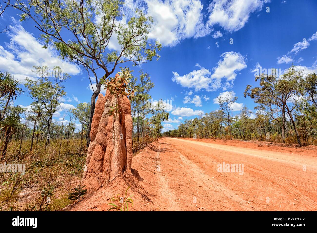 Vista mozzafiato della Central Arnhem Road con polvere rossa e un alto tumulo di termite, East Arnhem Land, Northern Territory, NT, Australia Foto Stock