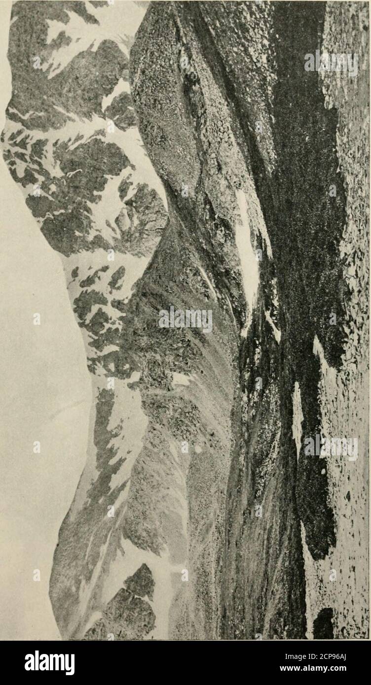 . Uccelli delle Montagne Rocciose . pus. Nel fare la salita, alcune persone, anche tra GRAYS AXD TORREYS CIME GRAYS a sinistra, Torreys a destra. Poiché il punto di osservazione del fotografo era più vicino a Torreys che a Grays, il teformer appare più in alto nella foto, mentre il Ieverseis davvero il caso. Il sentiero si snoda attraverso un burrone alla fine del crinale antistante; poi si inerpica lungo la parte più lontana del crinale sopra la gola alla base di Torreys ; giunge al crinale piuttosto bene verso sinistra ; Poi strisci e zigzag avanti e indietro lungo la parete titanica di Grays a thesummit. Nella valle, wher Foto Stock