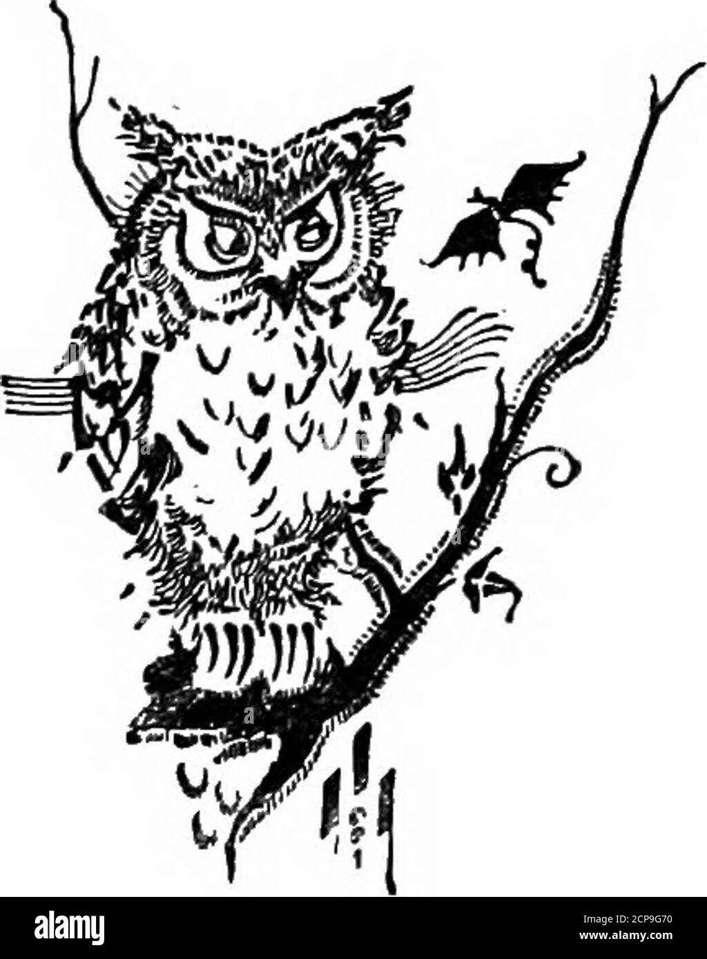 . Bird watching . noi. È il matrimonio di re-domi opposti, o piuttosto, il figlio mostruoso di luce e di tenebre. 12.15. Tutti i roosting, penso. 12.30. Silenzio ora. Tutto tranquillo a Shipka. 12.43. Molto come prima. Sul lato ripido di 198 BIRD WATCHING uno dei grandi stack di fronte, kittiwakes arerooing in numeri più straordinari, e soclose insieme che non sembrano uccelli, affioramento butsome sulla superficie della roccia. Theyconsistono, senza dubbio, dei soci di tutti i sittingbirds sulle sporgenze. 1.5 A.M. la sporgenza ora sta mescolando nuovamente nella vita e così, anche, il blocco grande di kit Foto Stock