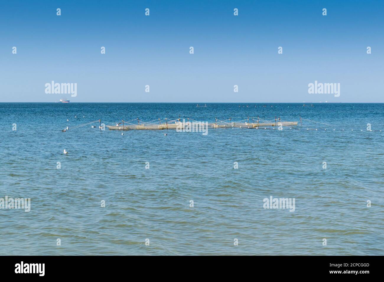 Fattoria Oyster in riva al mare su una calma e soleggiata giorno d'estate Foto Stock