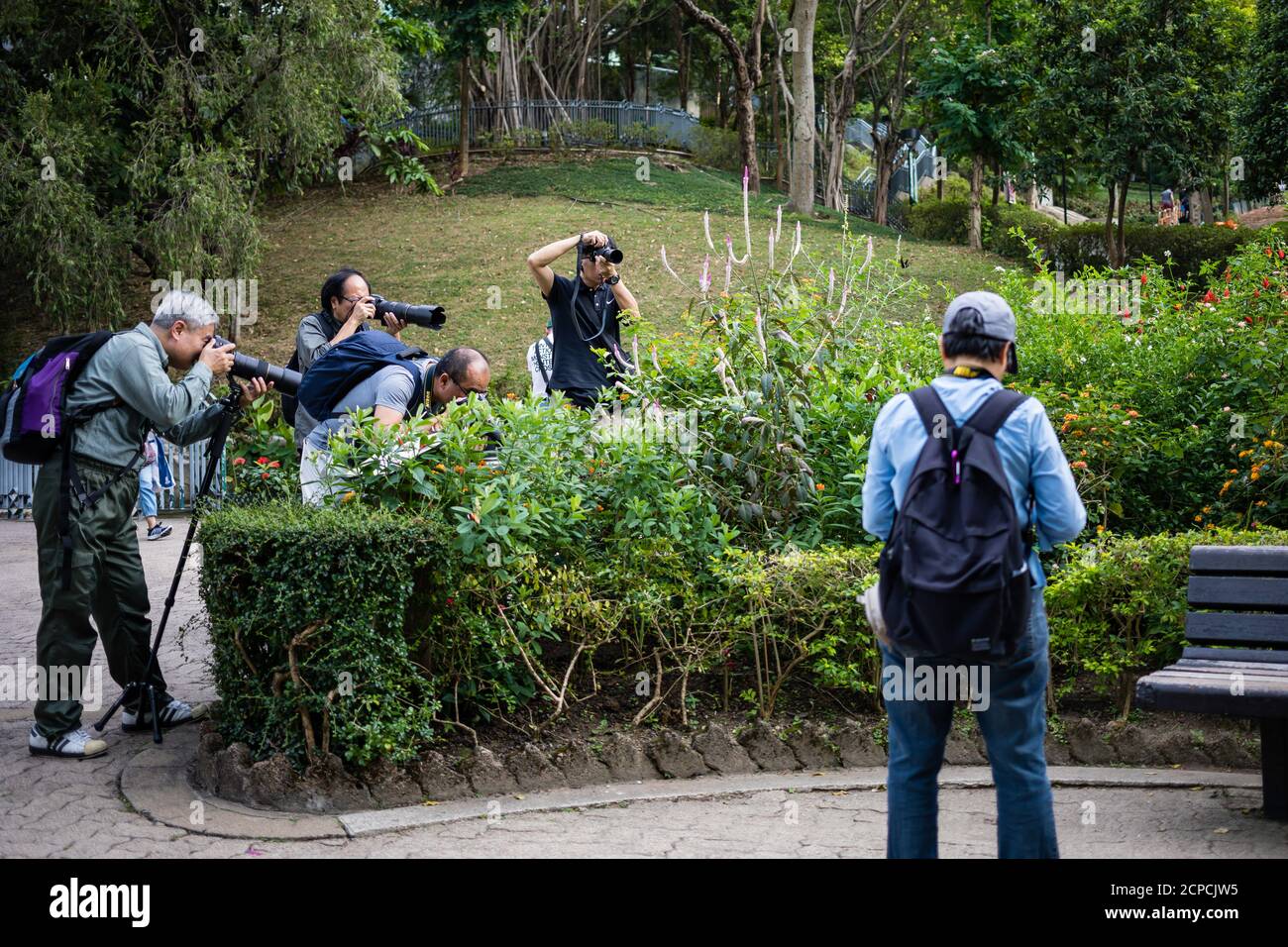 Hong Kong Park Foto Stock