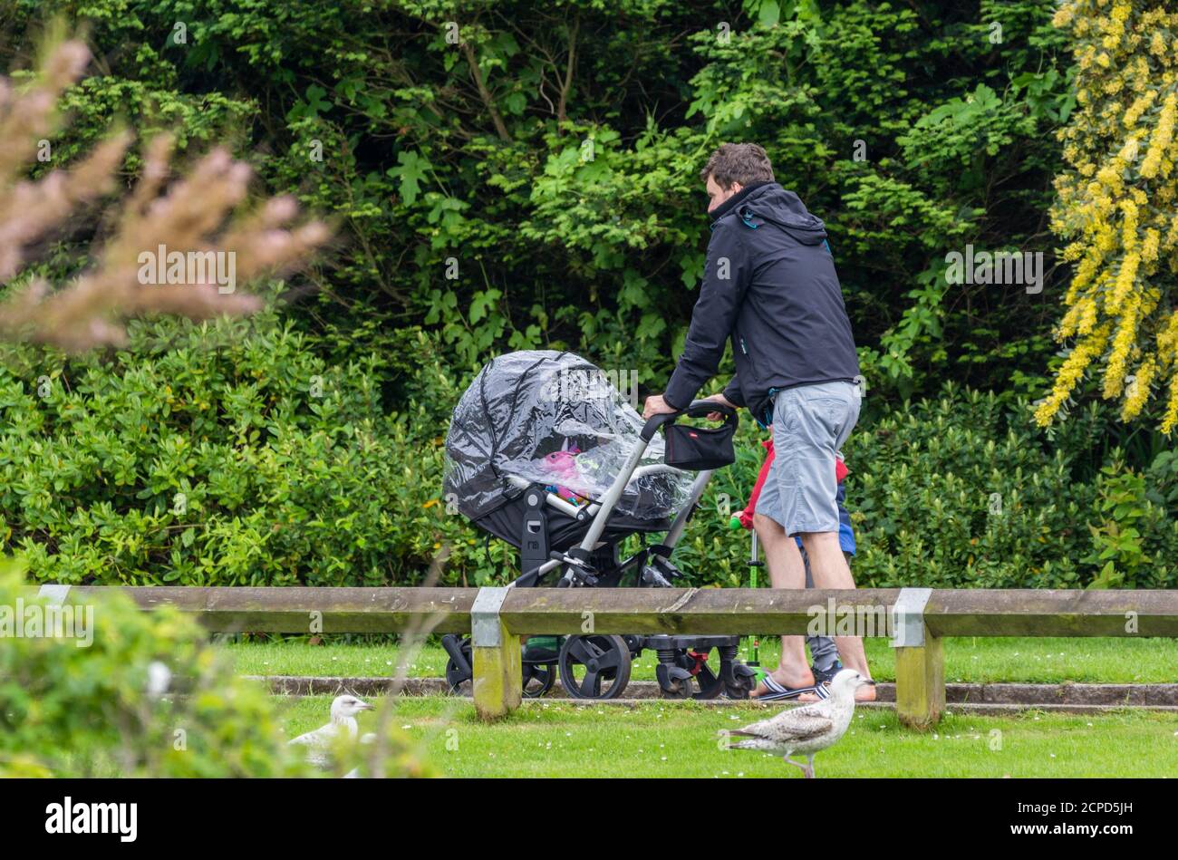 Uomo con bambini che spinge il bambino in passeggino intorno ad un parco. Concetto di singolo padre o singolo genitore di sesso maschile (l'uomo può o non può essere singolo o un genitore). Foto Stock